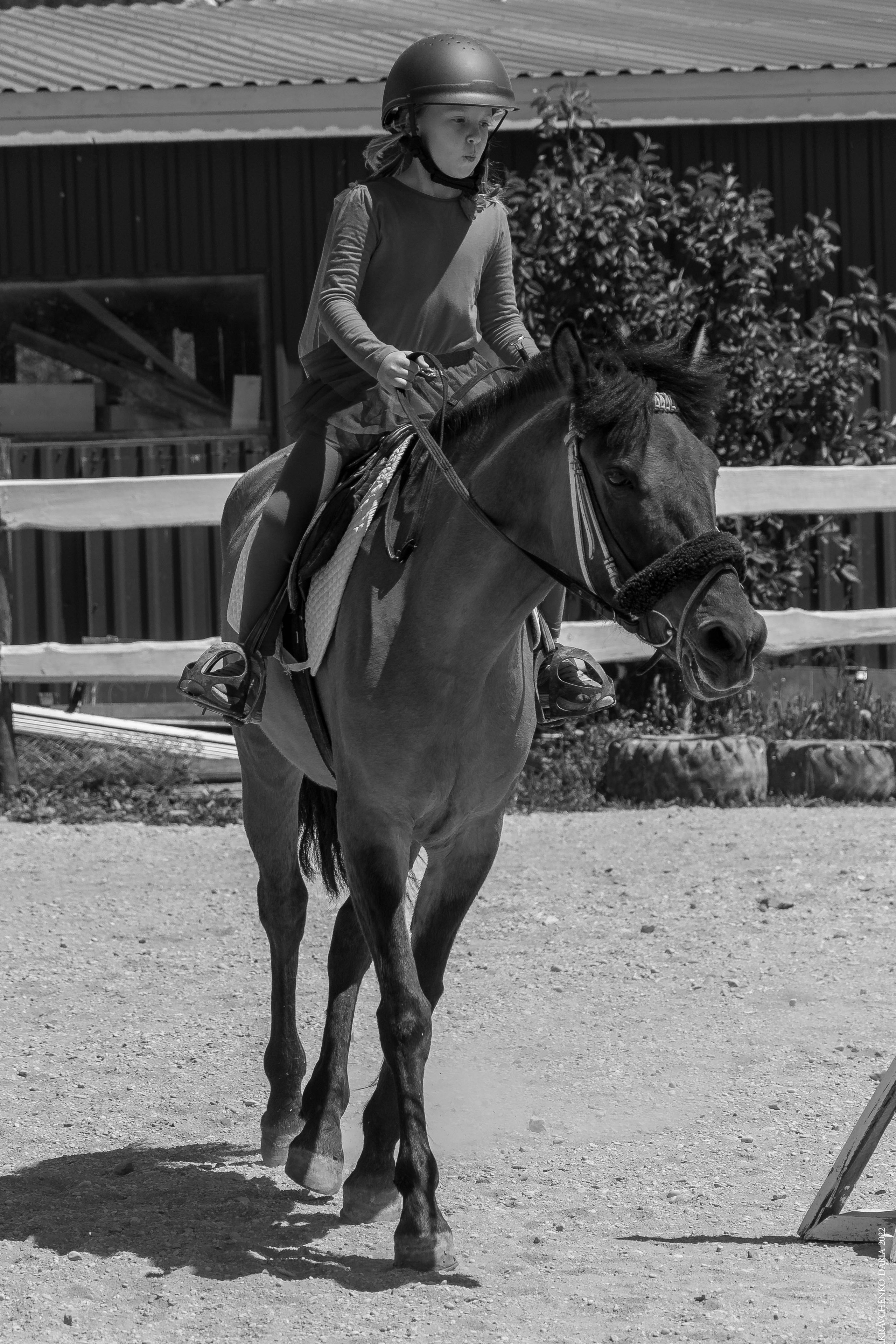 Соревнования в клубе «Реактив». Фотограф в Севастополе