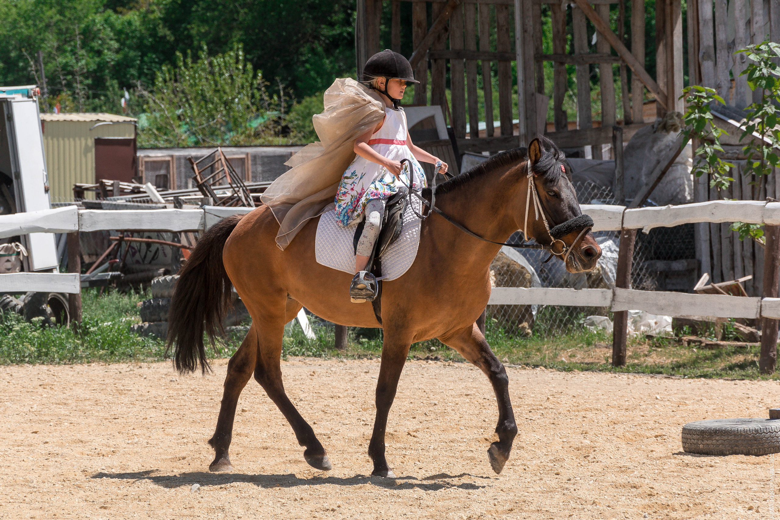 Соревнования в клубе «Реактив». Фотограф в Севастополе