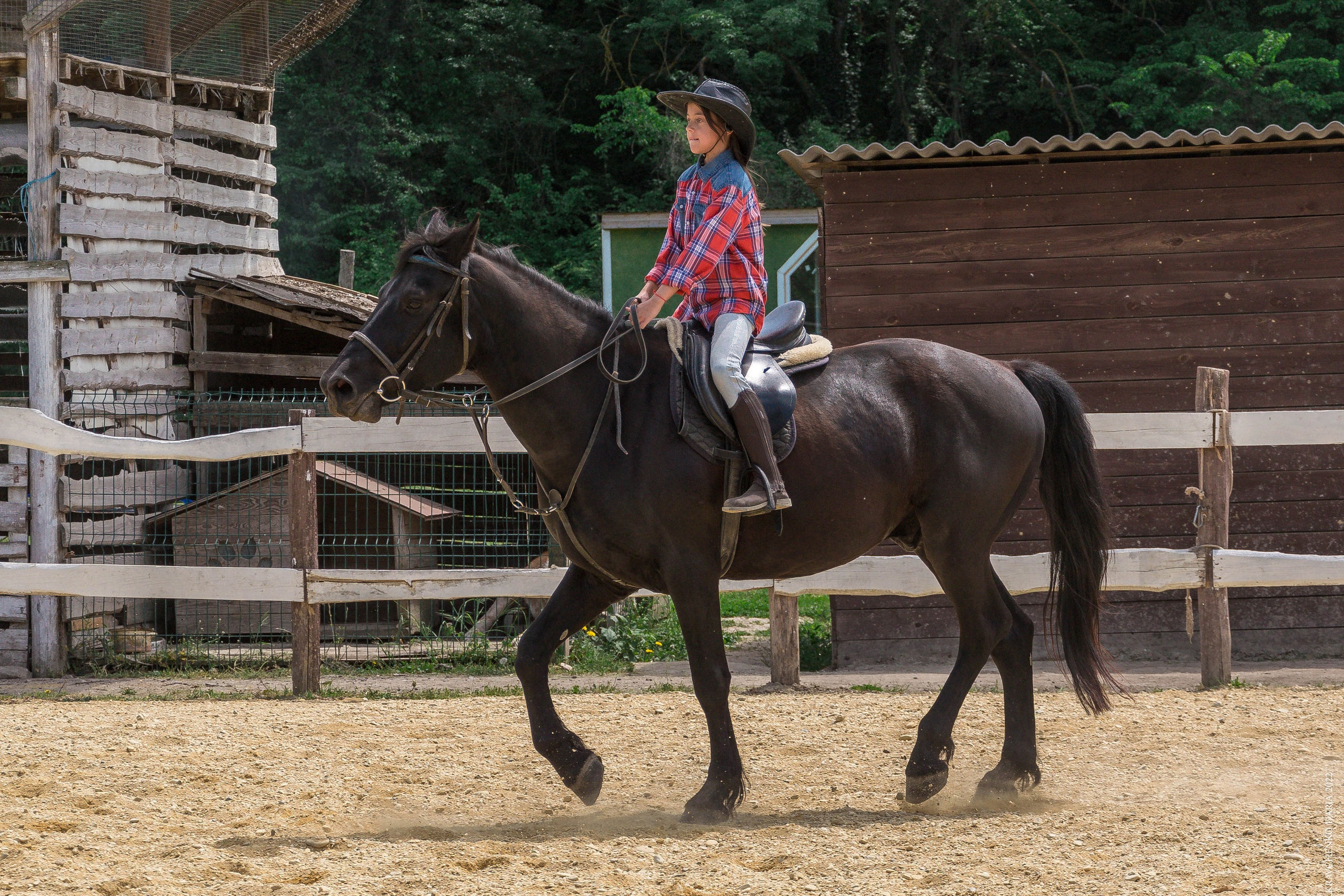 Соревнования в клубе «Реактив». Фотограф в Севастополе