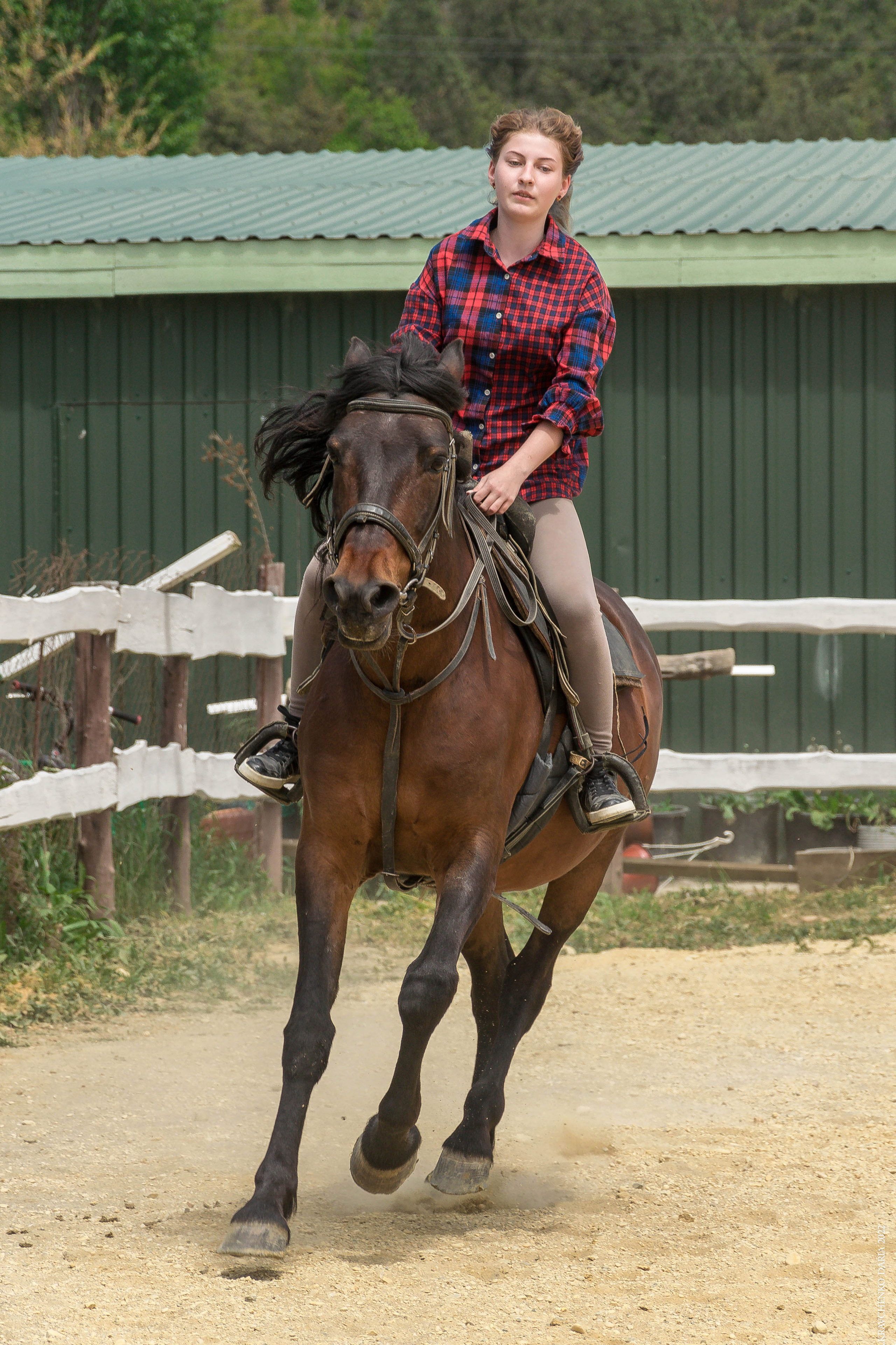 Соревнования в клубе «Реактив». Фотограф в Севастополе
