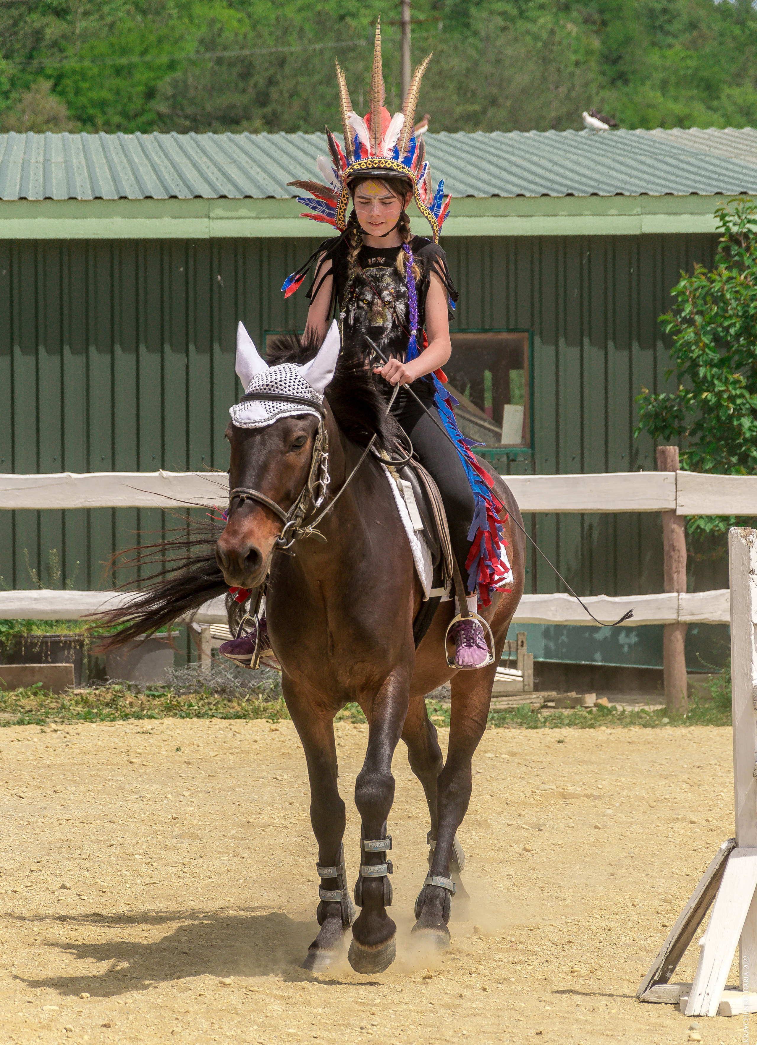 Соревнования в клубе «Реактив». Фотограф в Севастополе