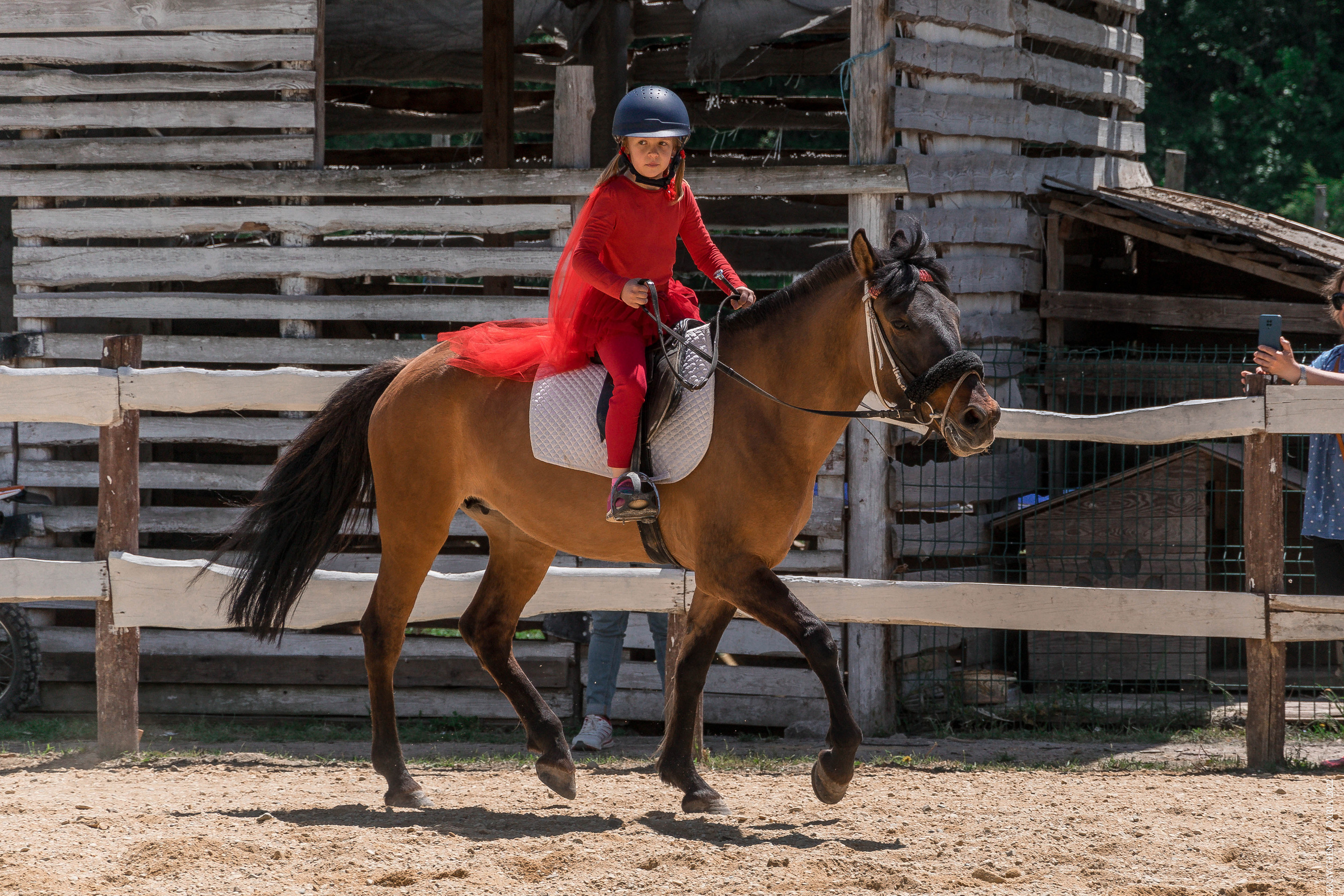 Соревнования в клубе «Реактив». Фотограф в Севастополе