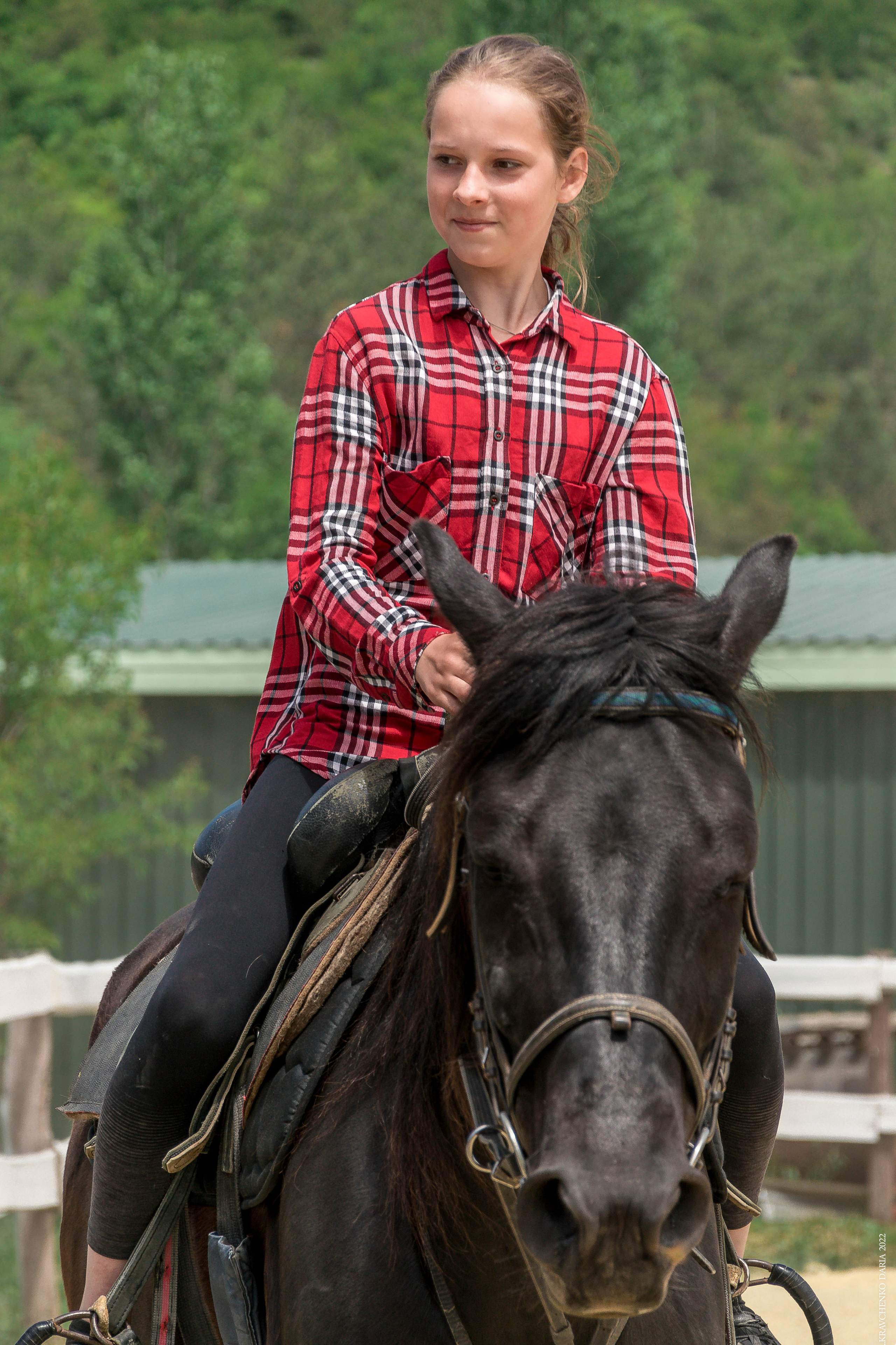 Соревнования в клубе «Реактив». Фотограф в Севастополе