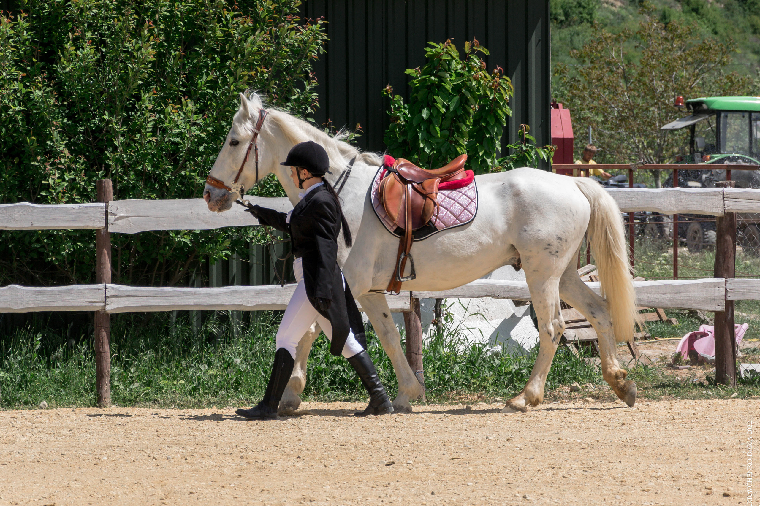 Соревнования в клубе «Реактив». Фотограф в Севастополе