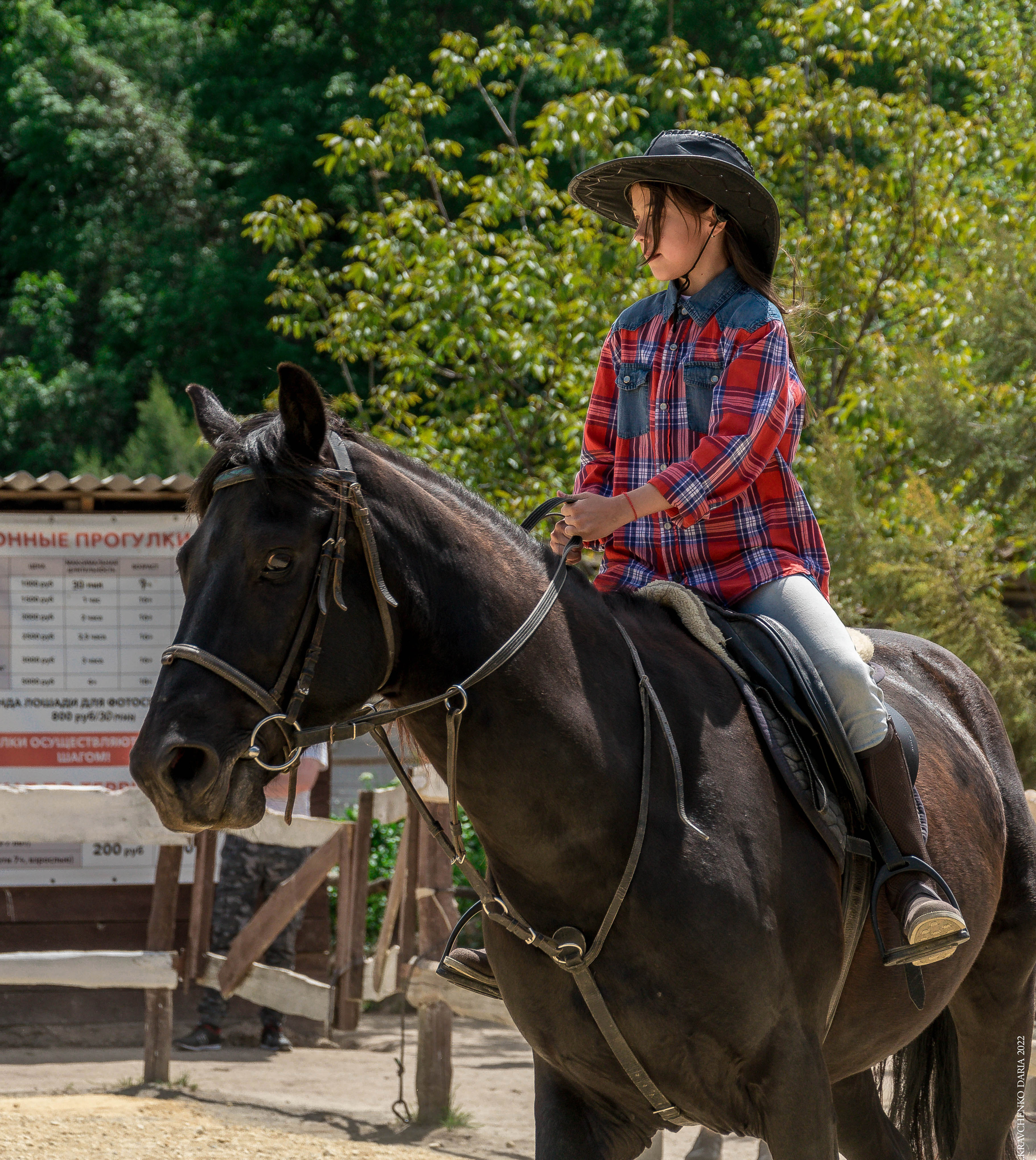 Соревнования в клубе «Реактив». Фотограф в Севастополе
