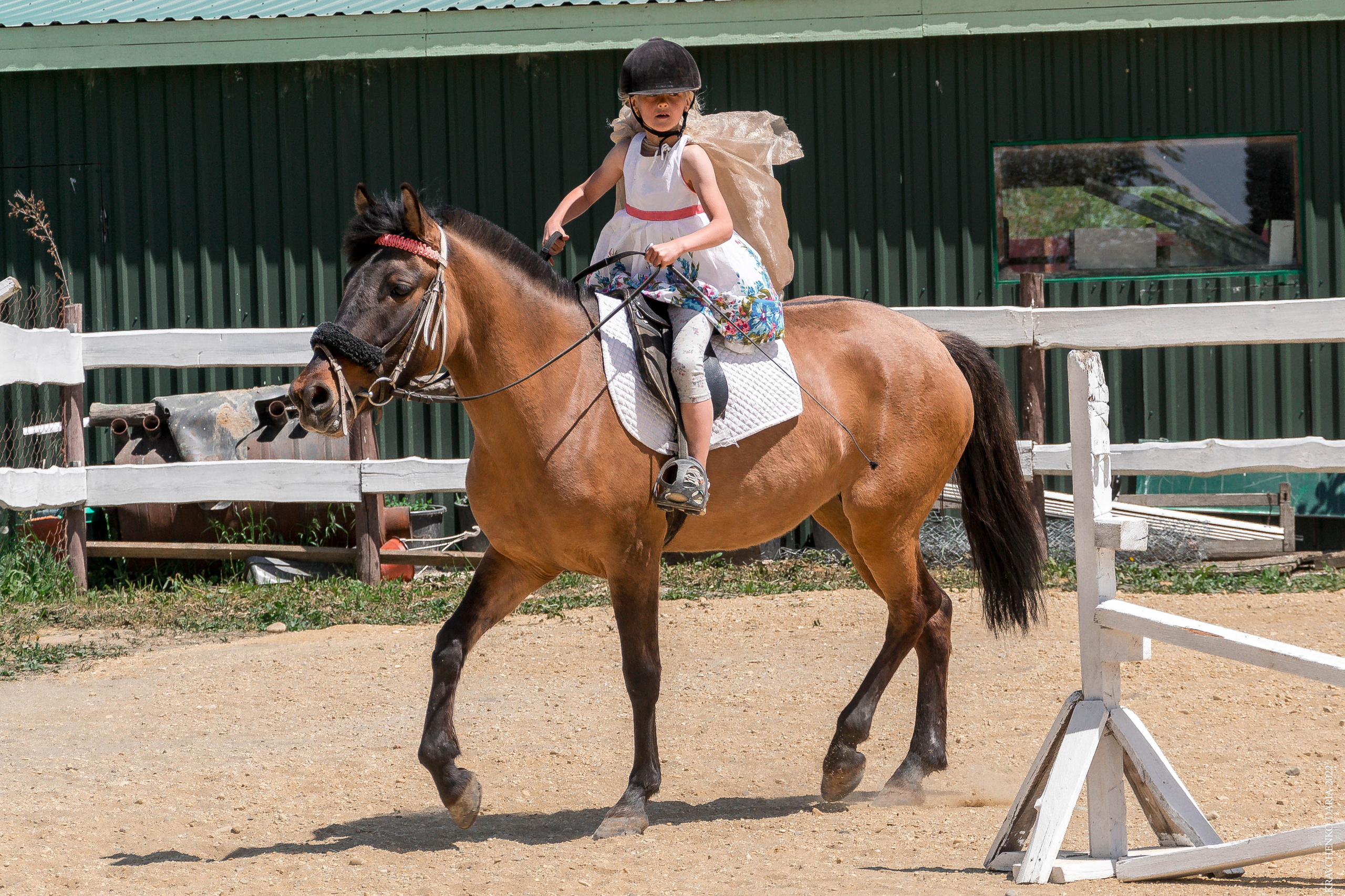 Соревнования в клубе «Реактив». Фотограф в Севастополе