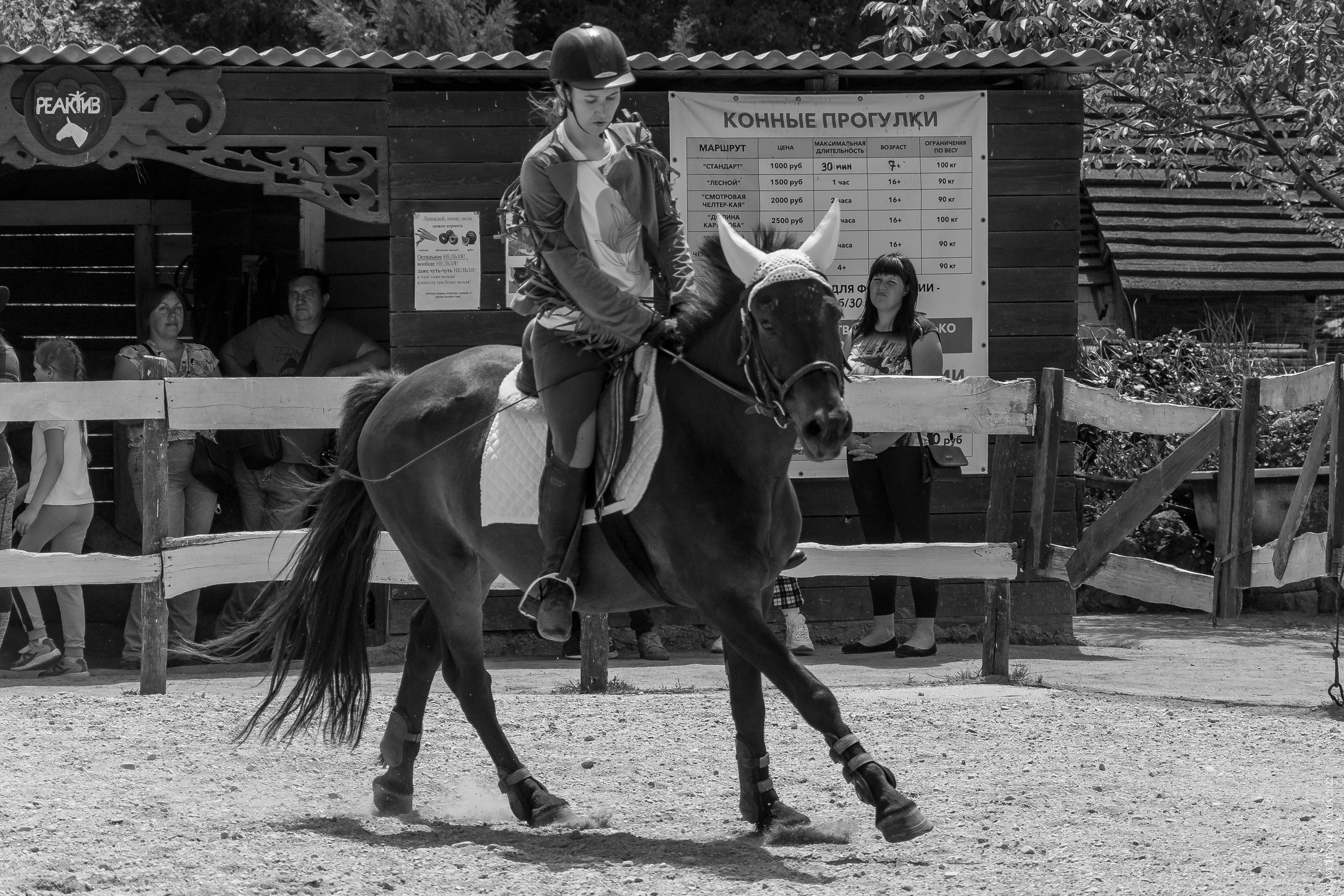 Соревнования в клубе «Реактив». Фотограф в Севастополе