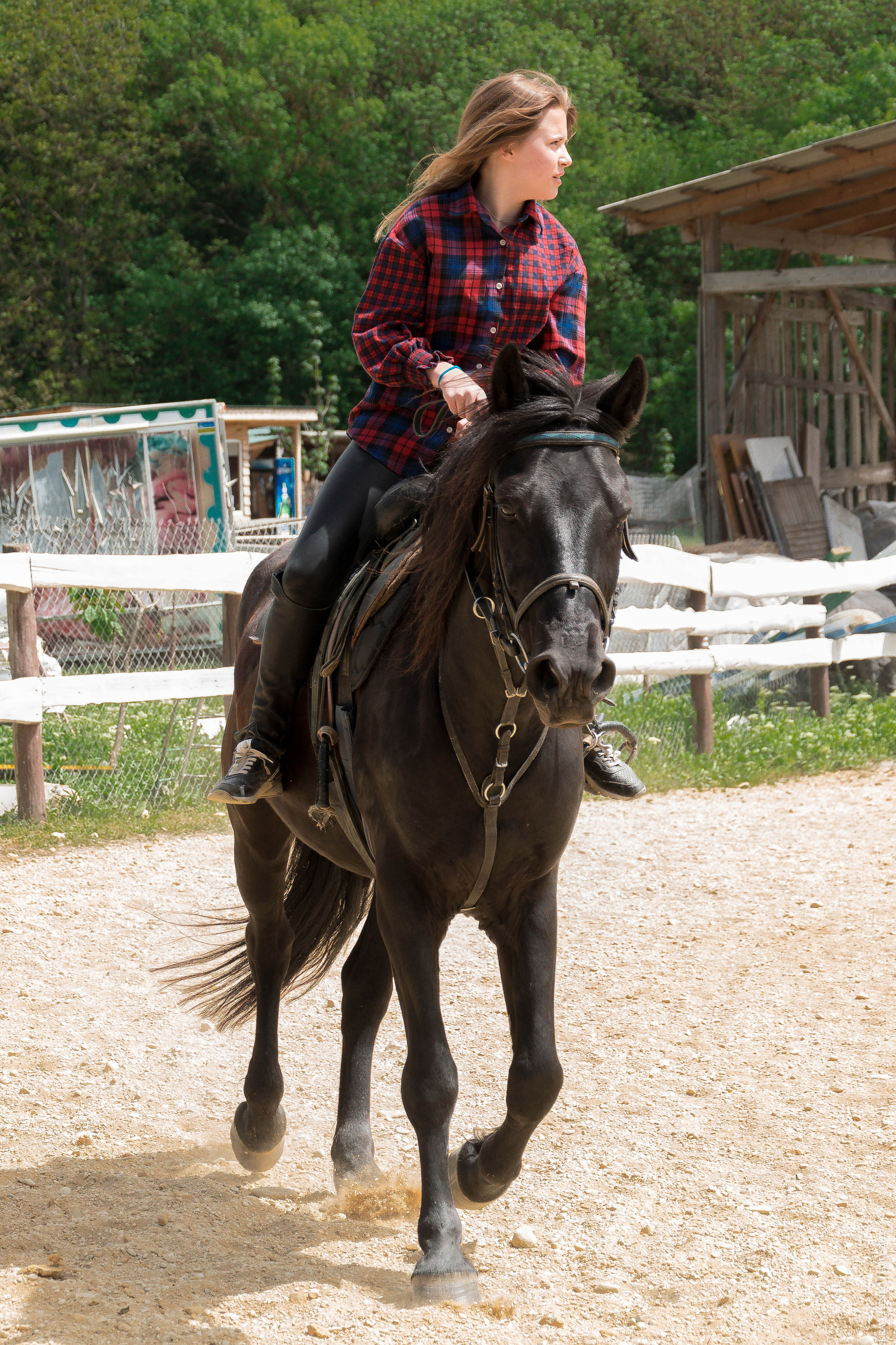 Соревнования в клубе «Реактив». Фотограф в Севастополе