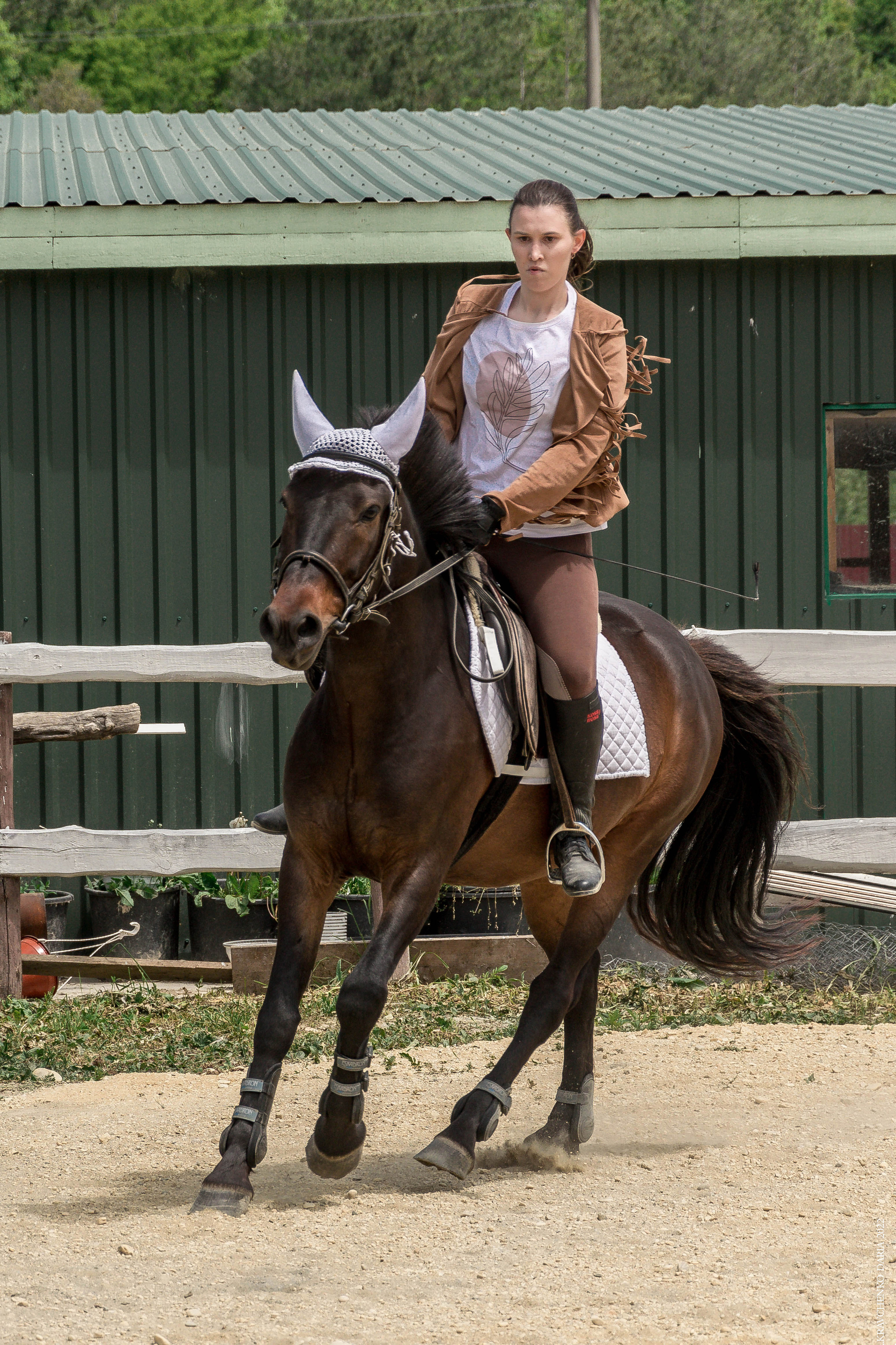 Соревнования в клубе «Реактив». Фотограф в Севастополе