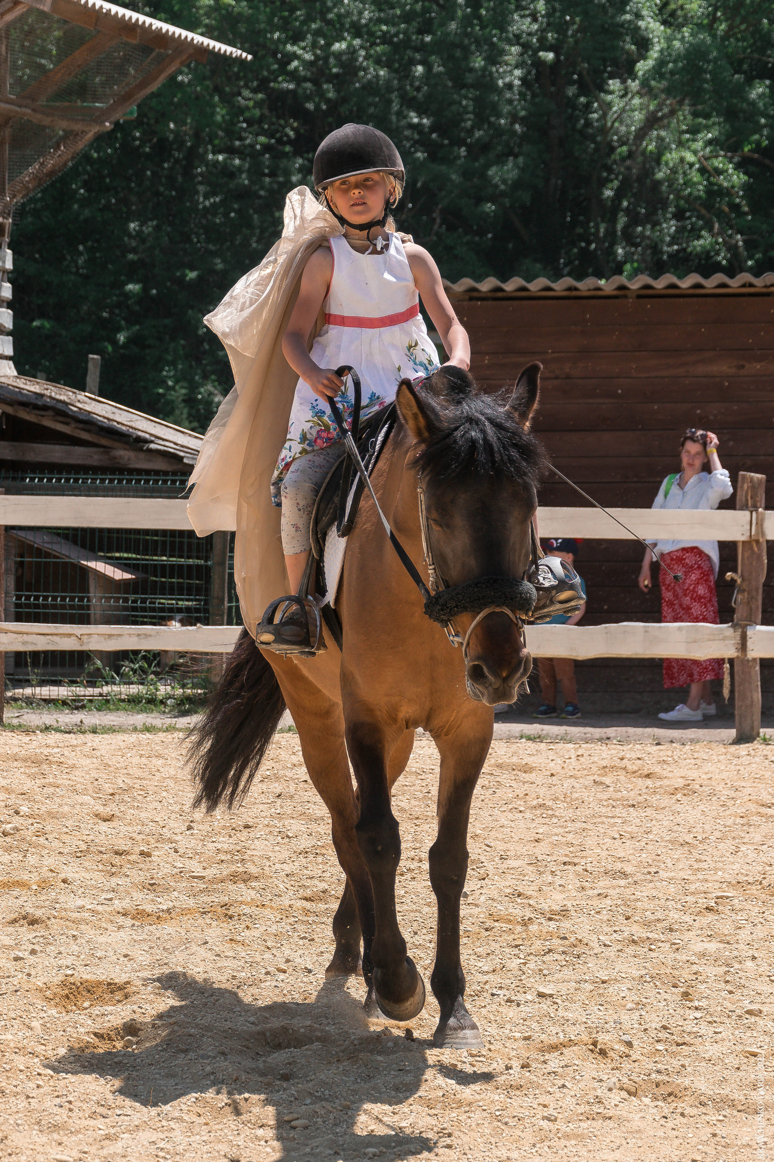 Соревнования в клубе «Реактив». Фотограф в Севастополе