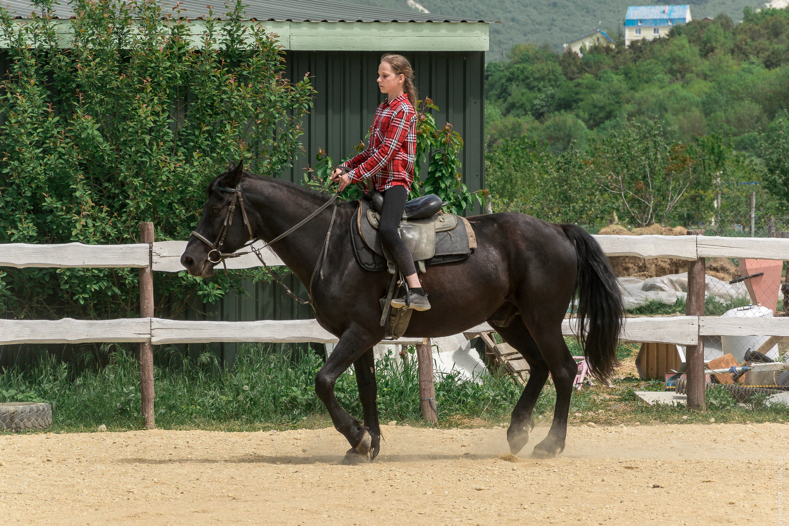 Соревнования в клубе «Реактив». Фотограф в Севастополе