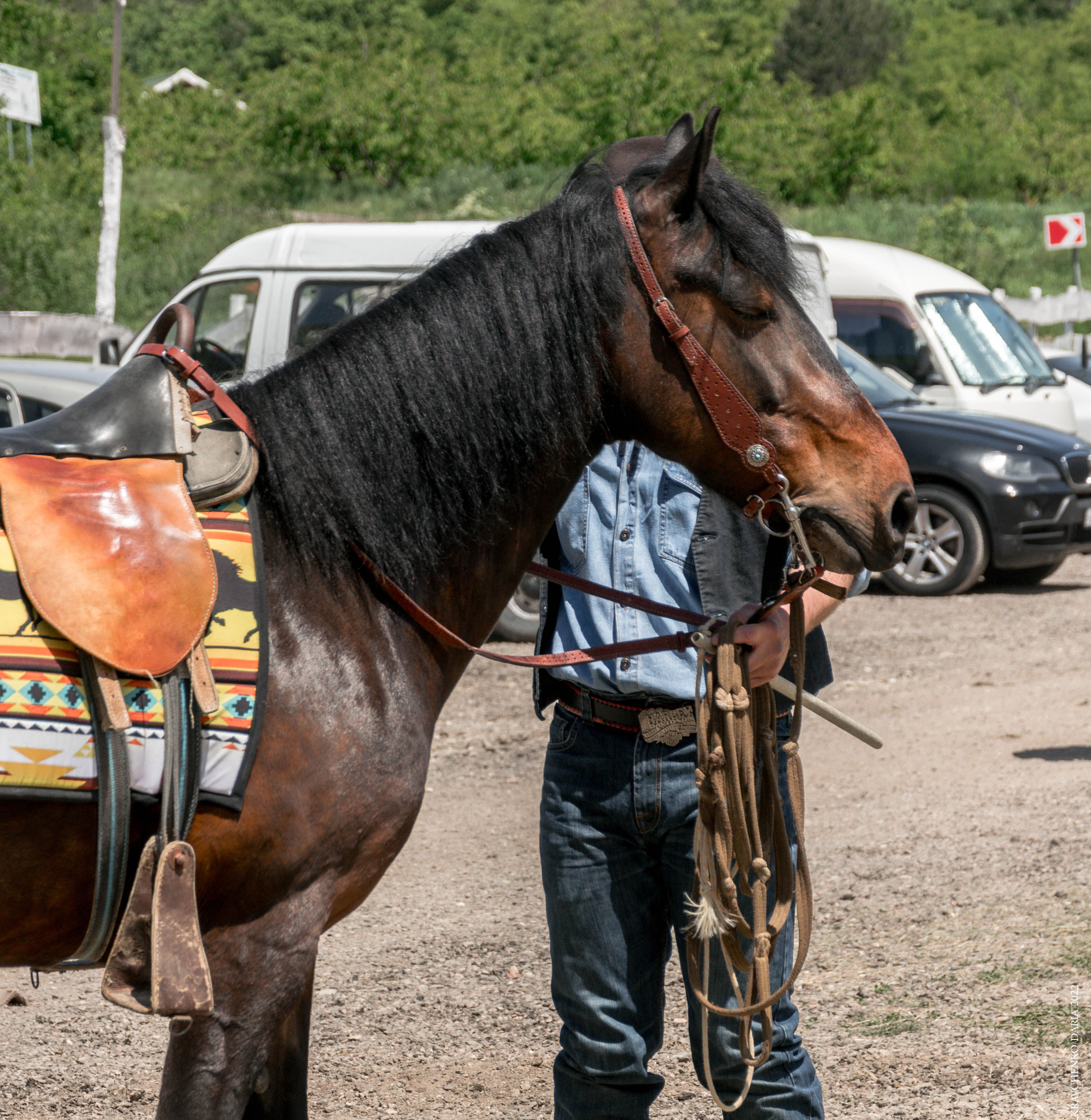 Соревнования в клубе «Реактив». Фотограф в Севастополе