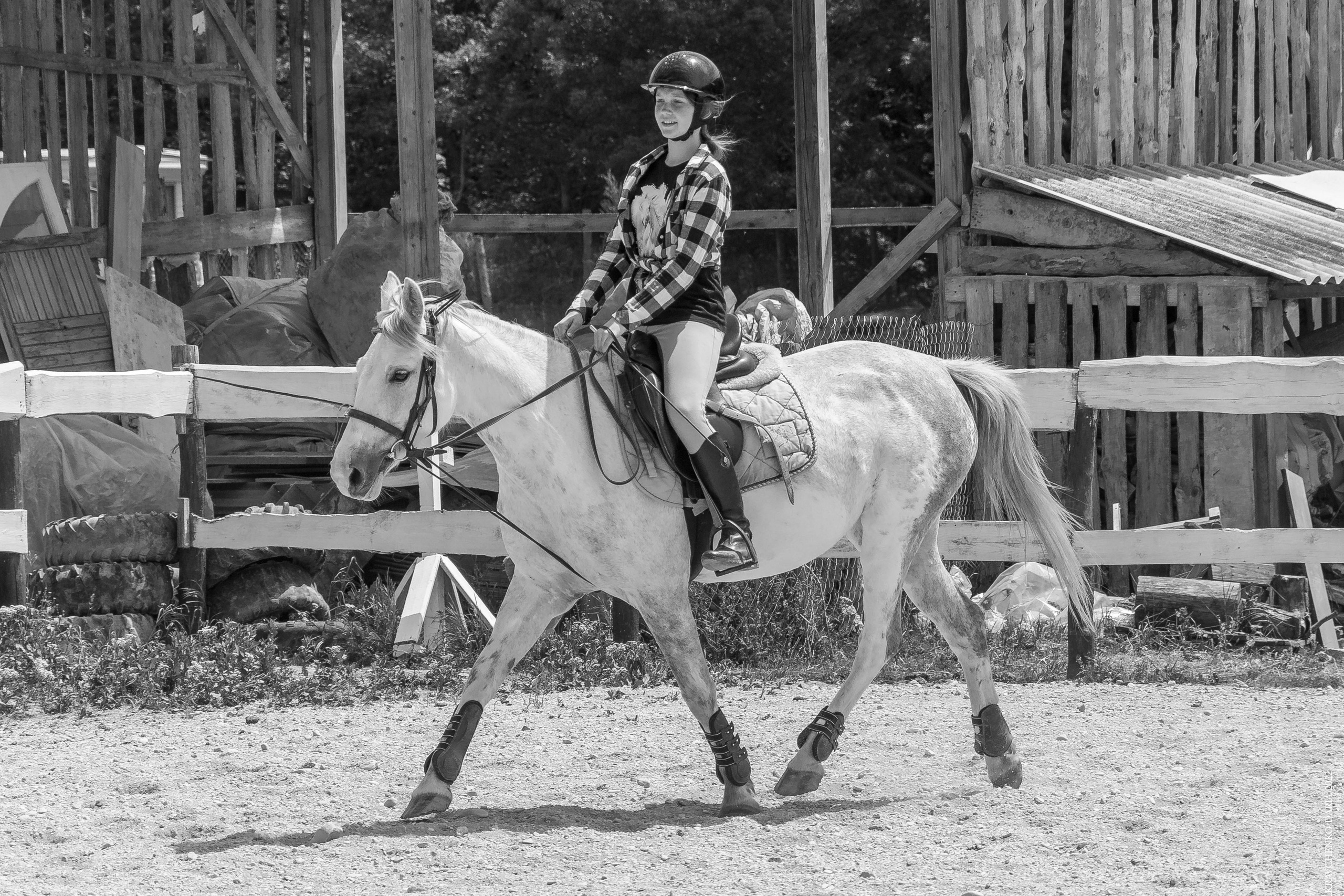 Соревнования в клубе «Реактив». Фотограф в Севастополе