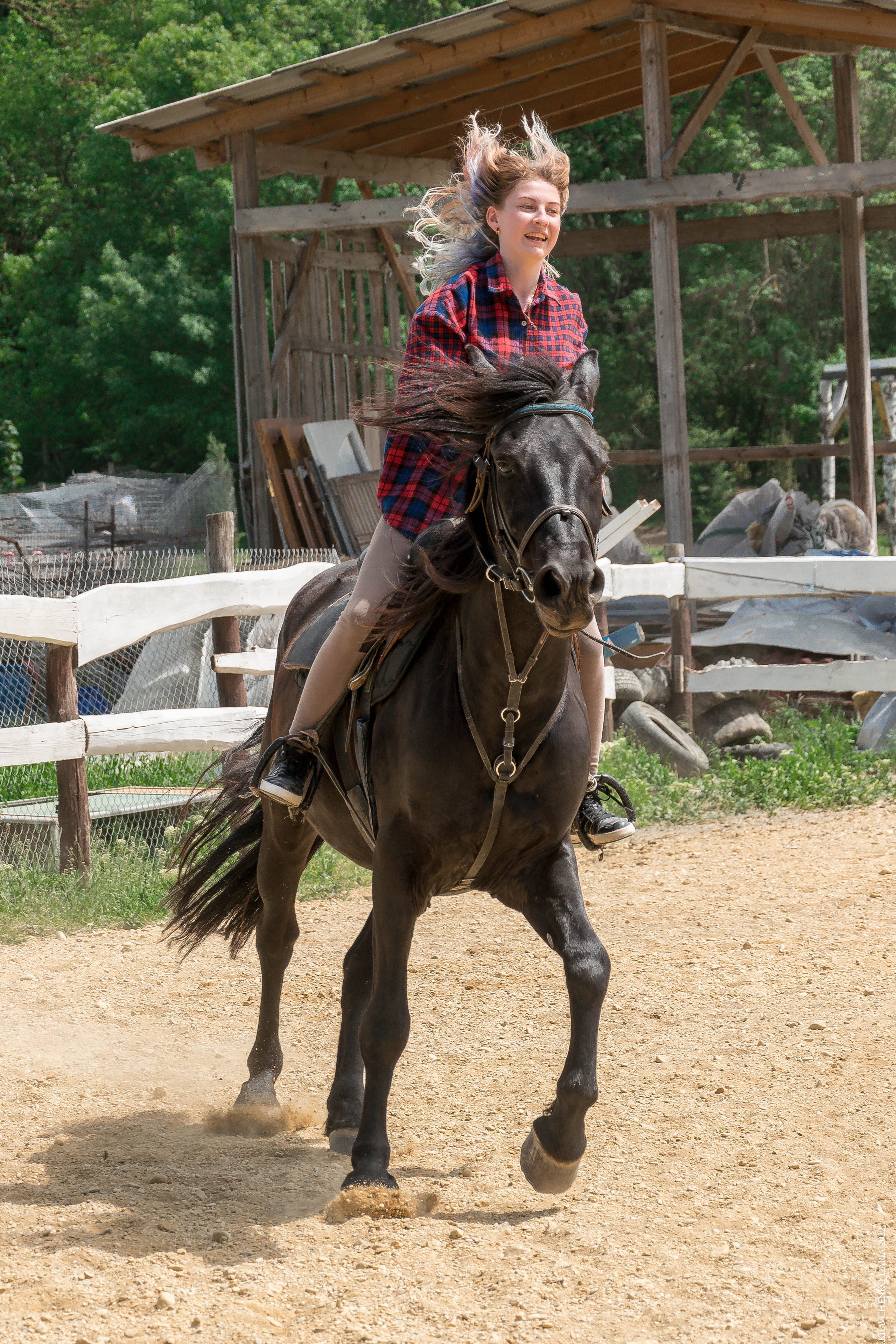 Соревнования в клубе «Реактив». Фотограф в Севастополе