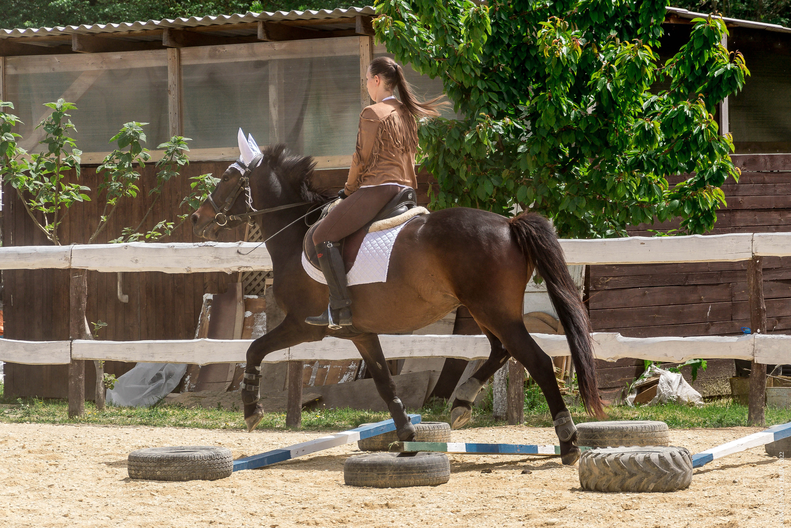 Соревнования в клубе «Реактив». Фотограф в Севастополе