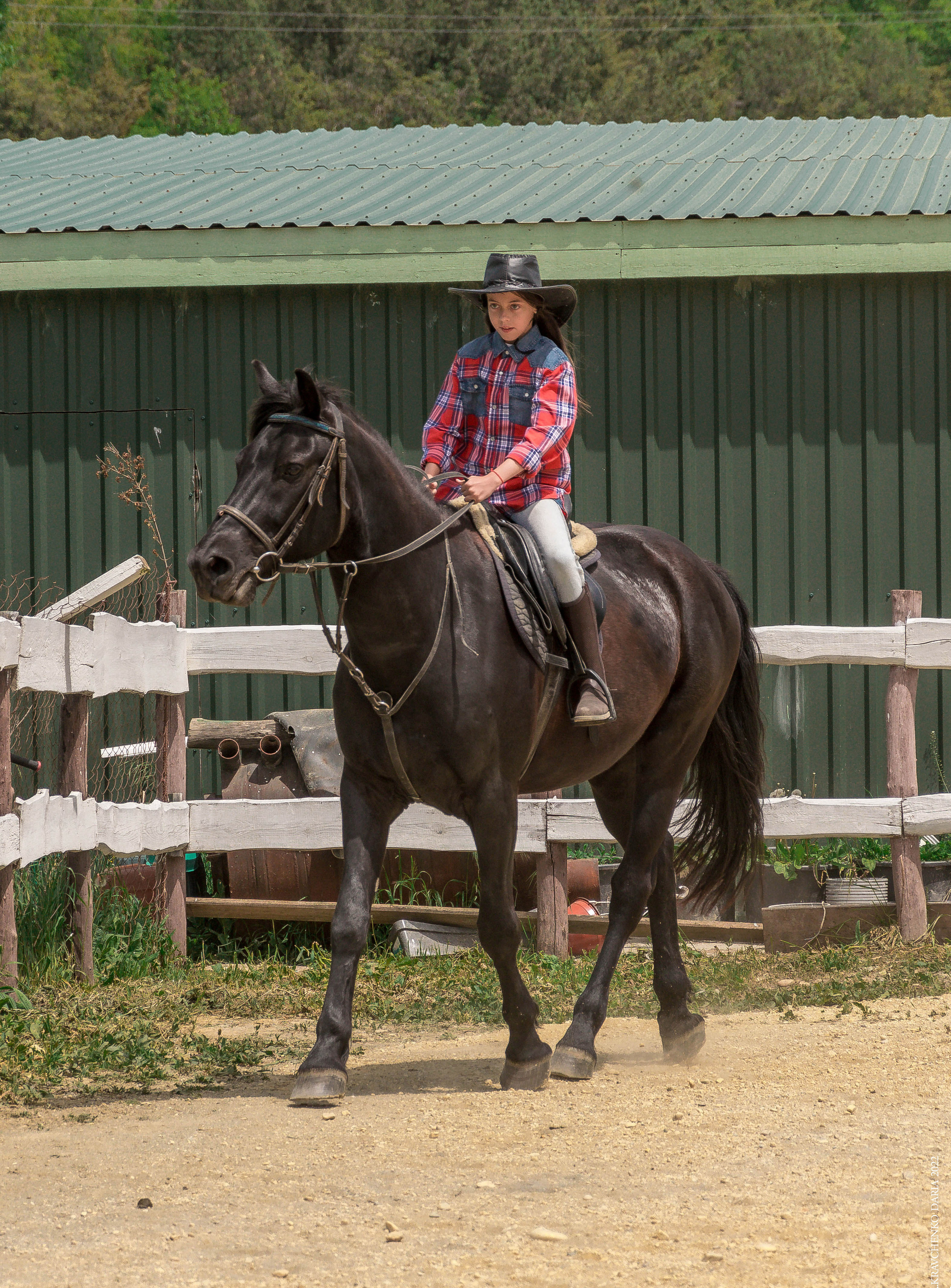 Соревнования в клубе «Реактив». Фотограф в Севастополе