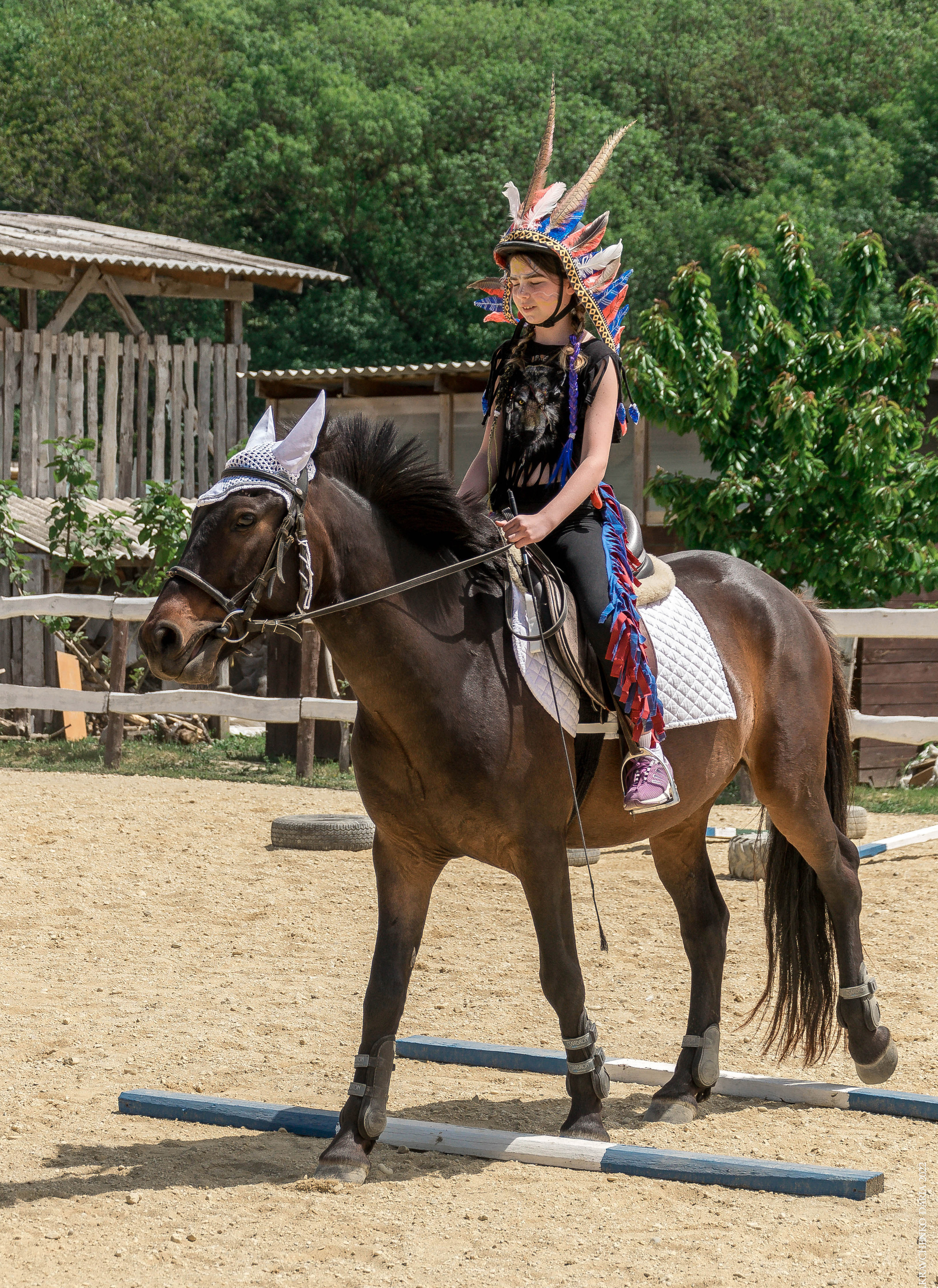 Соревнования в клубе «Реактив». Фотограф в Севастополе