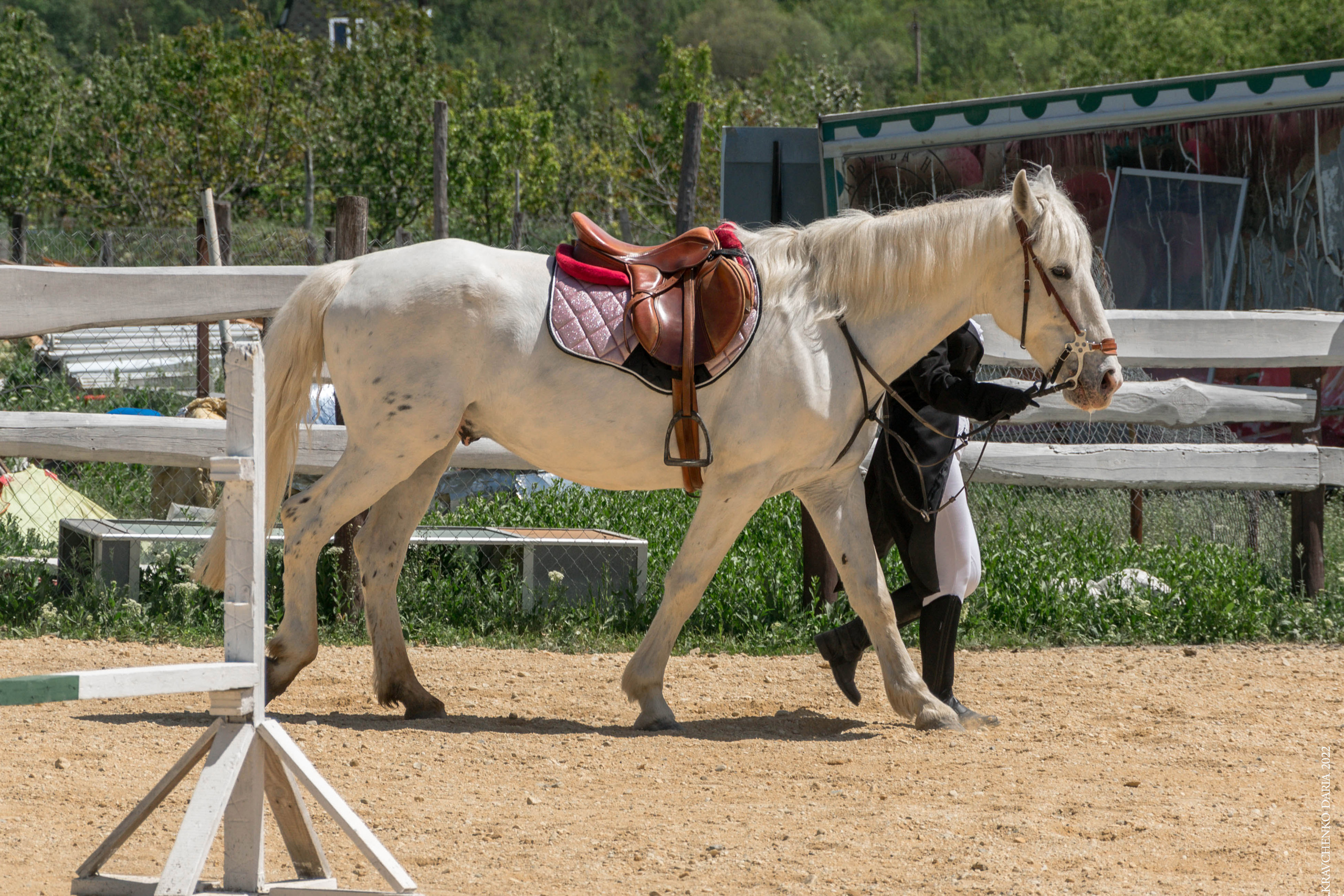 Соревнования в клубе «Реактив». Фотограф в Севастополе