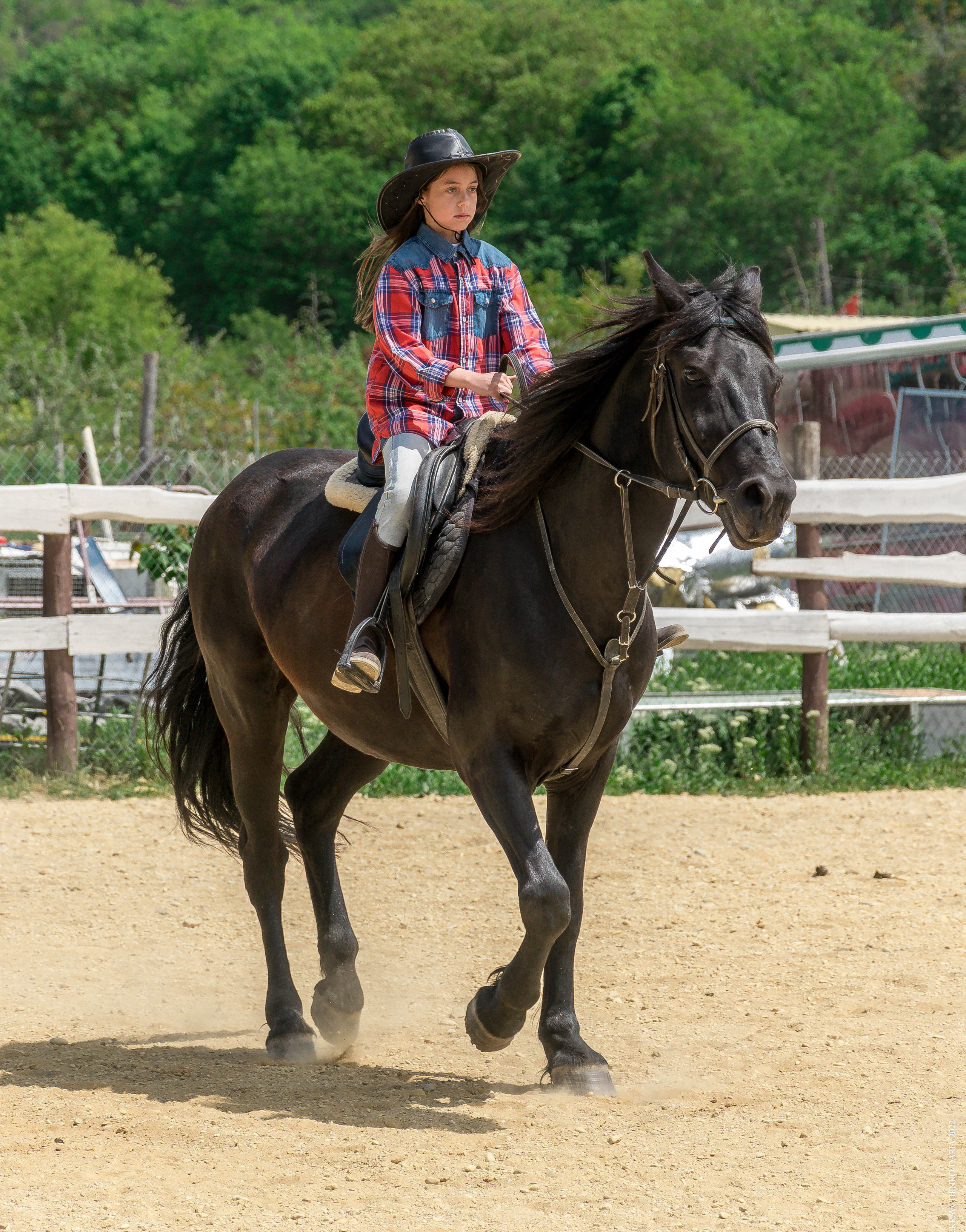 Соревнования в клубе «Реактив». Фотограф в Севастополе