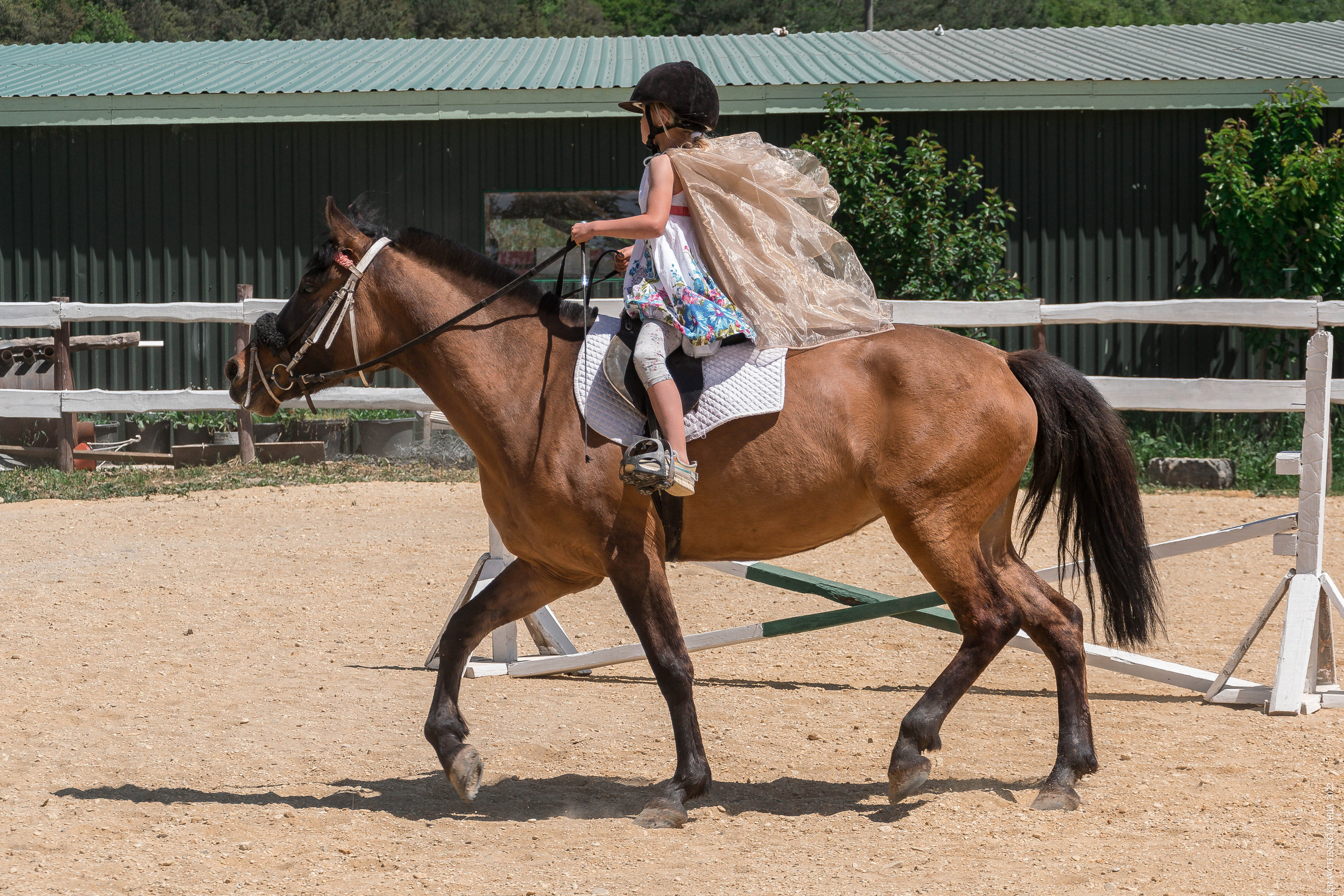 Соревнования в клубе «Реактив». Фотограф в Севастополе