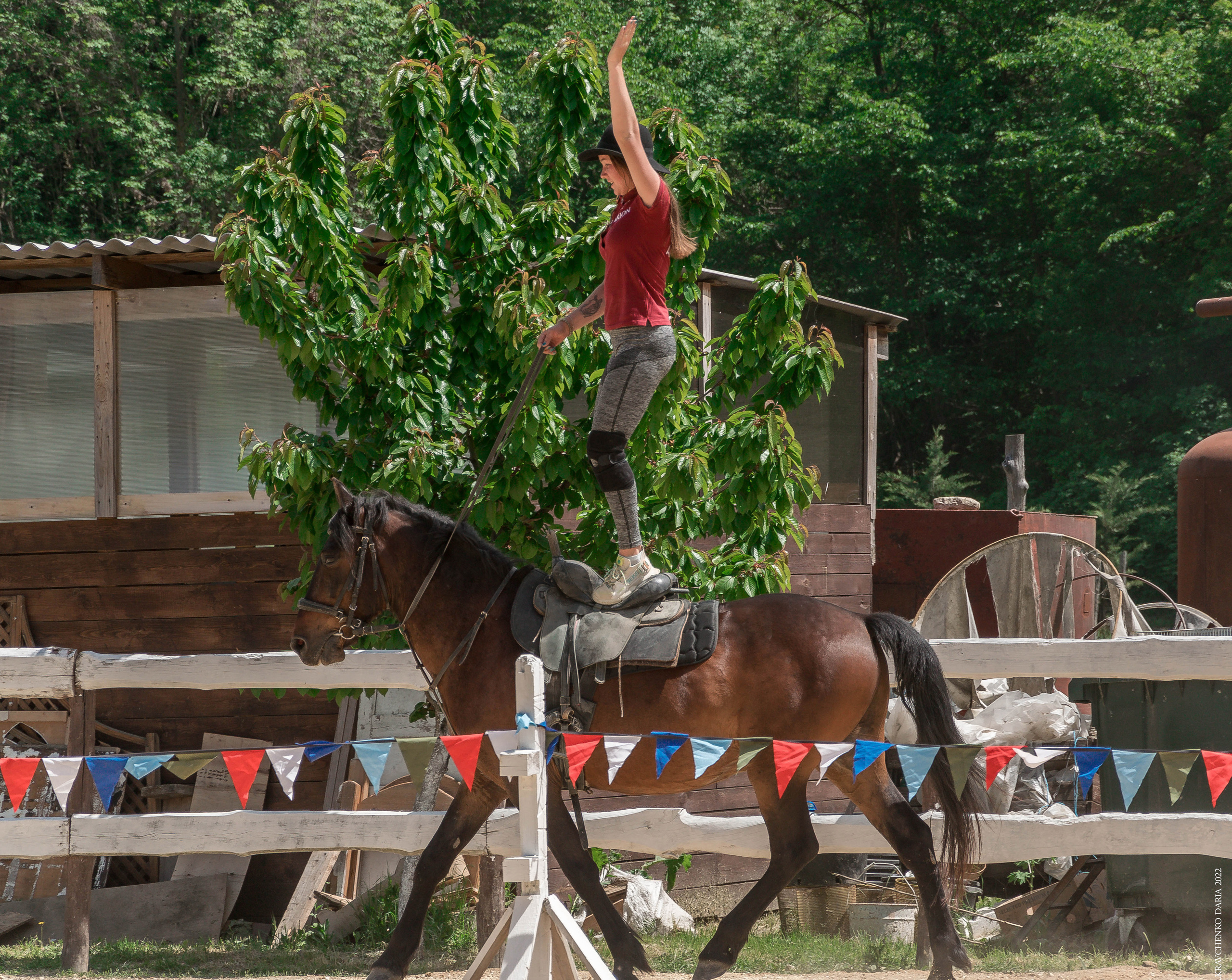 Соревнования в клубе «Реактив». Фотограф в Севастополе