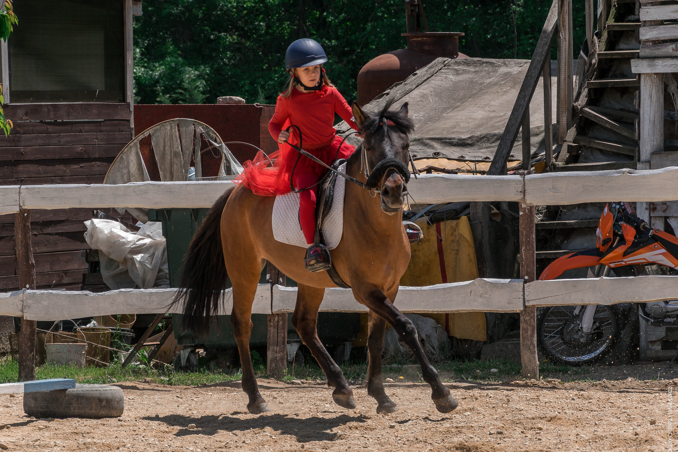 Соревнования в клубе «Реактив». Фотограф в Севастополе