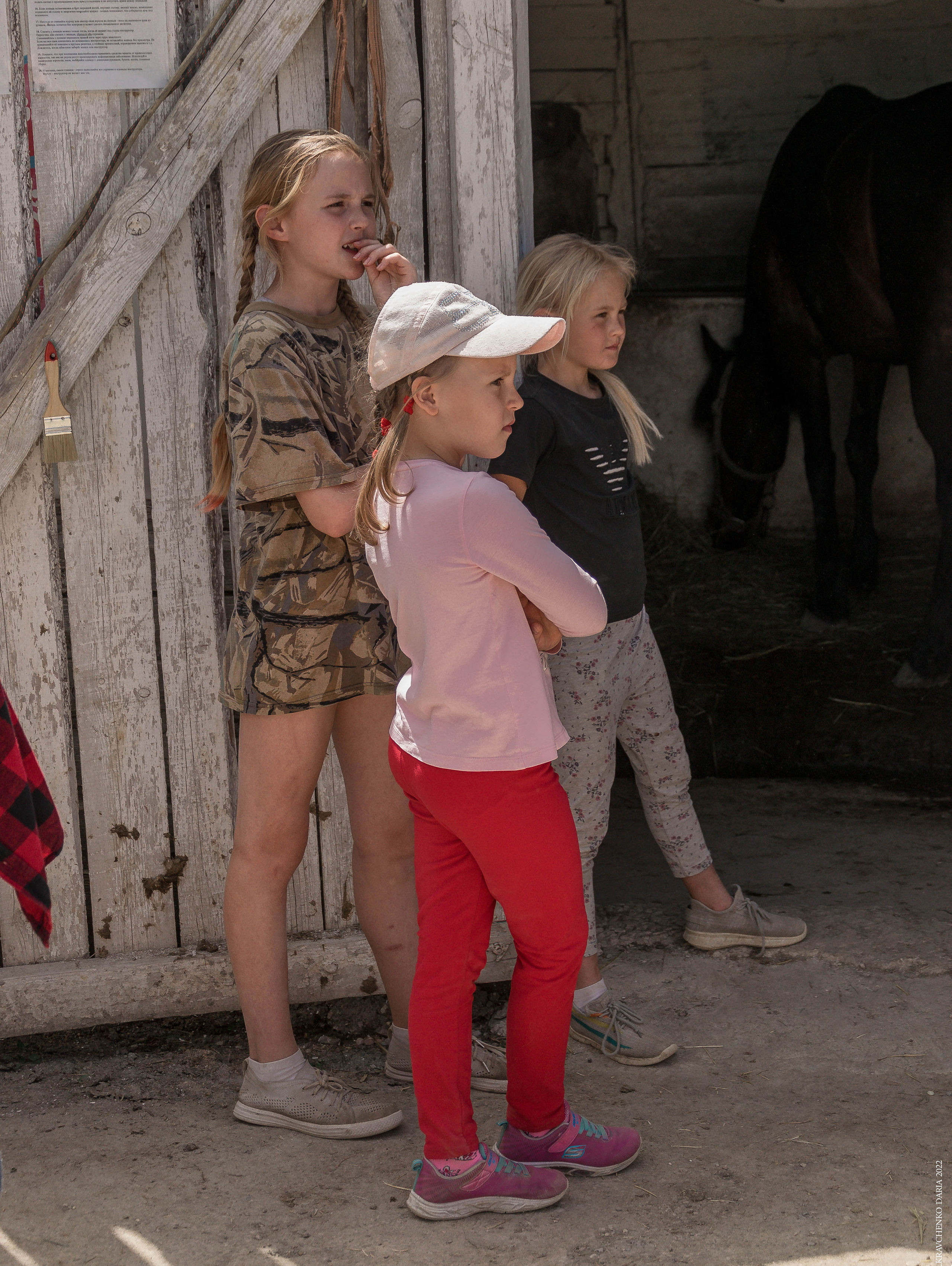 Соревнования в клубе «Реактив». Фотограф в Севастополе