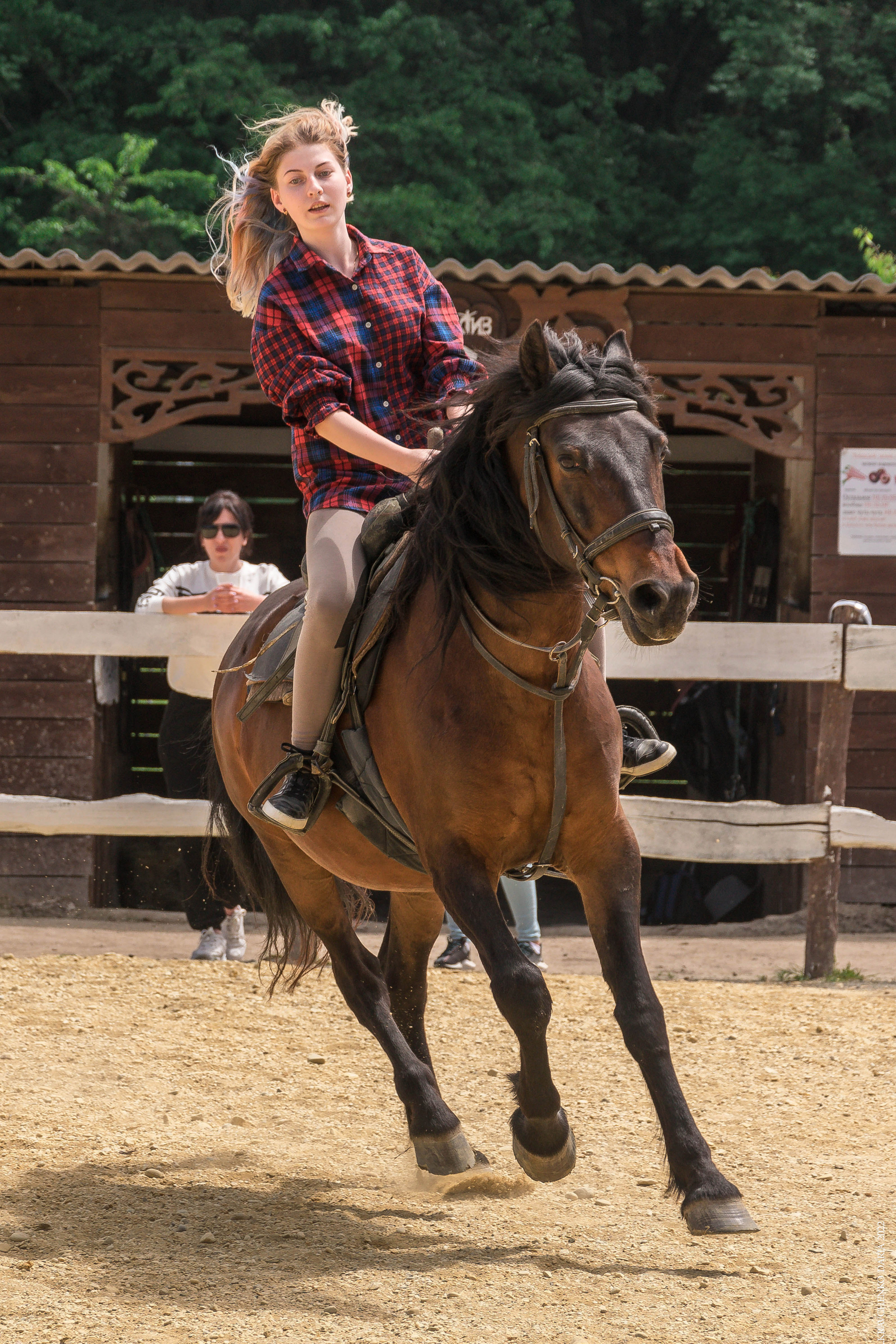 Соревнования в клубе «Реактив». Фотограф в Севастополе