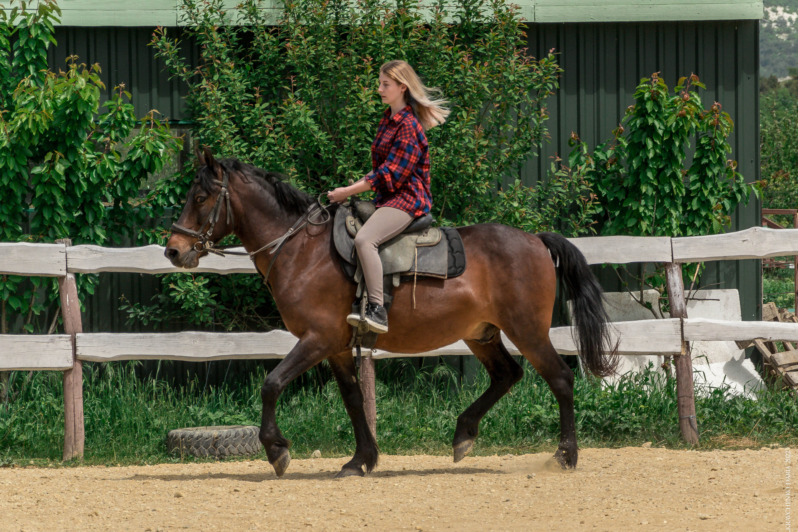 Соревнования в клубе «Реактив». Фотограф в Севастополе