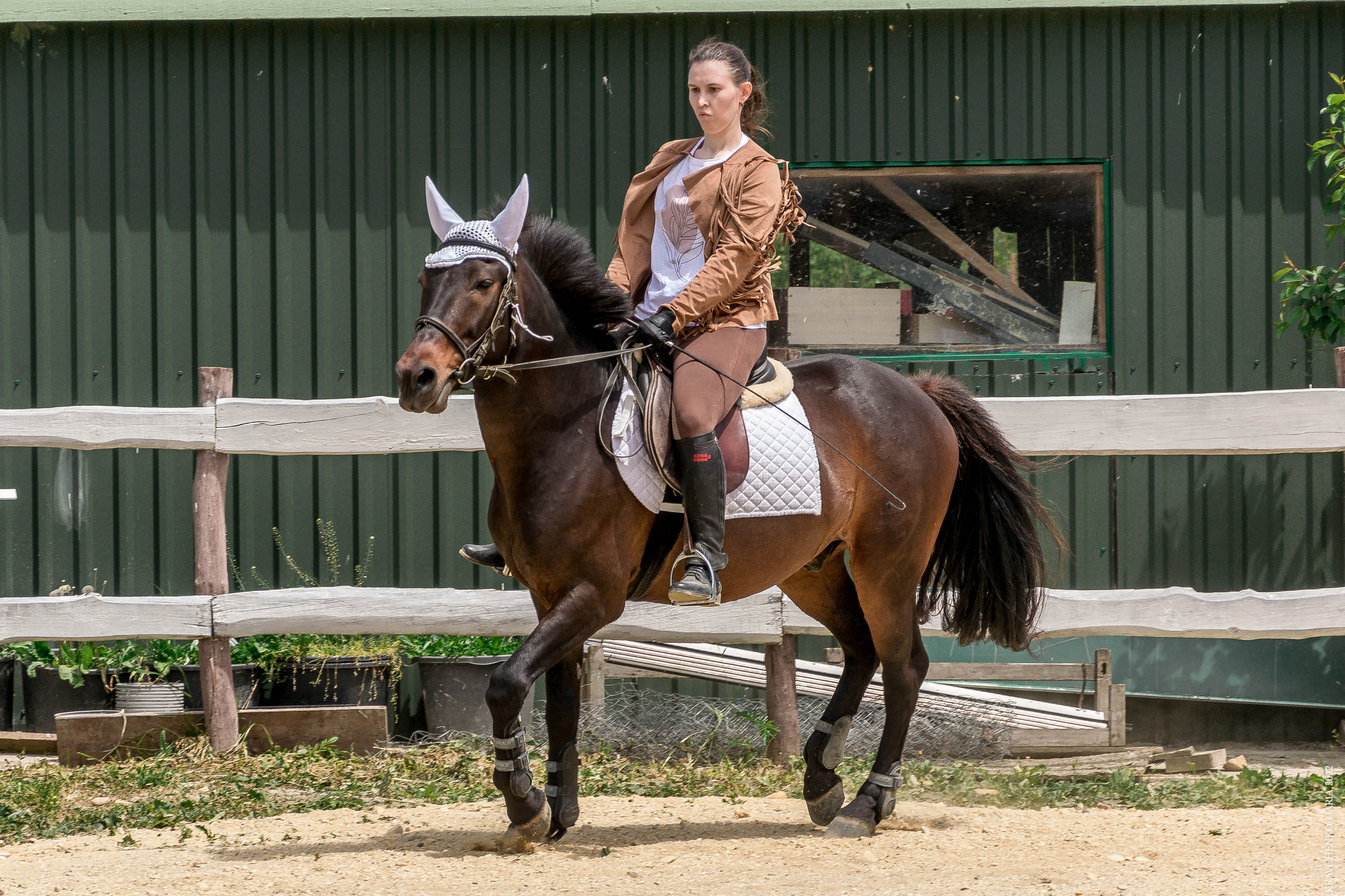 Соревнования в клубе «Реактив». Фотограф в Севастополе