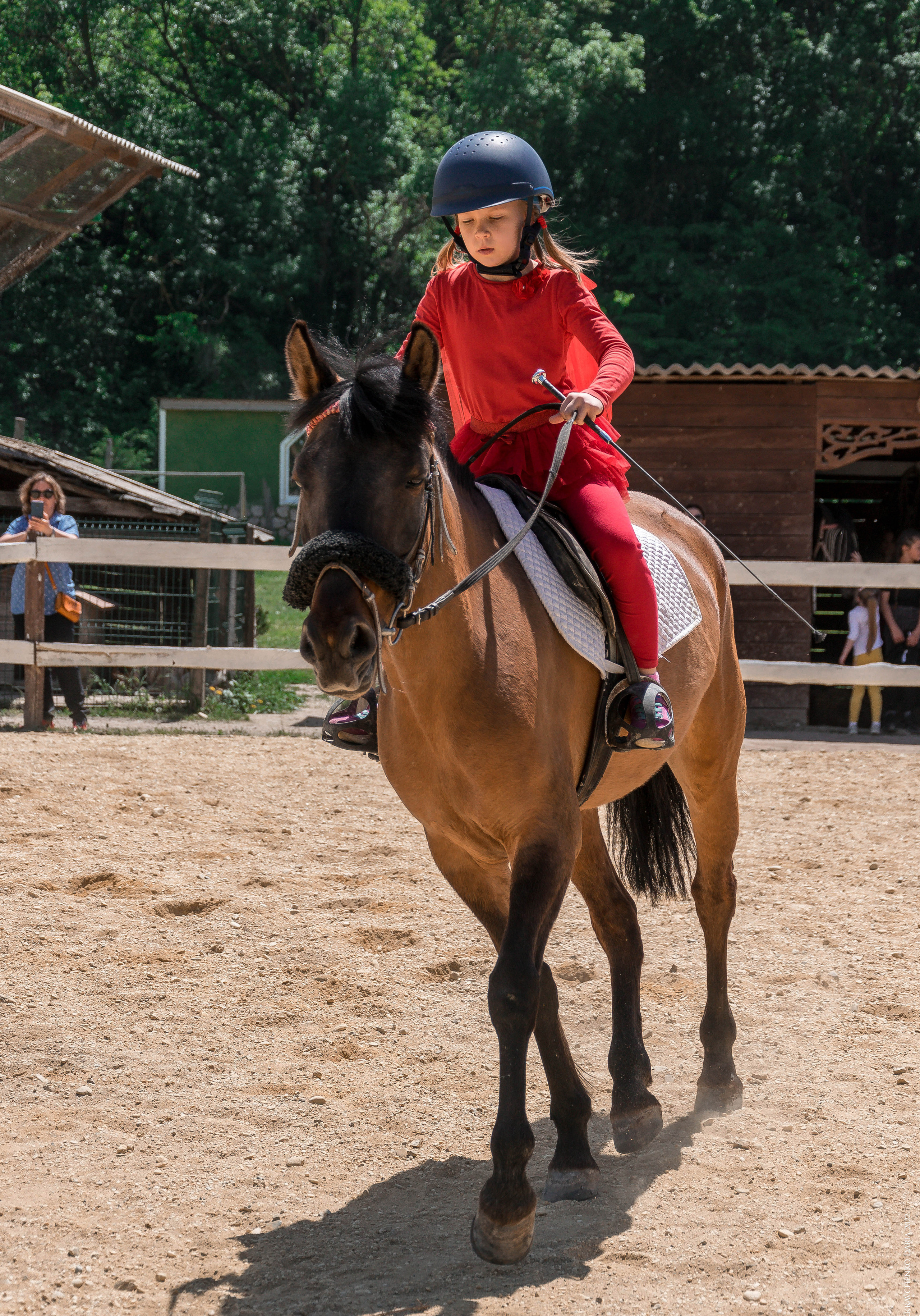 Соревнования в клубе «Реактив». Фотограф в Севастополе