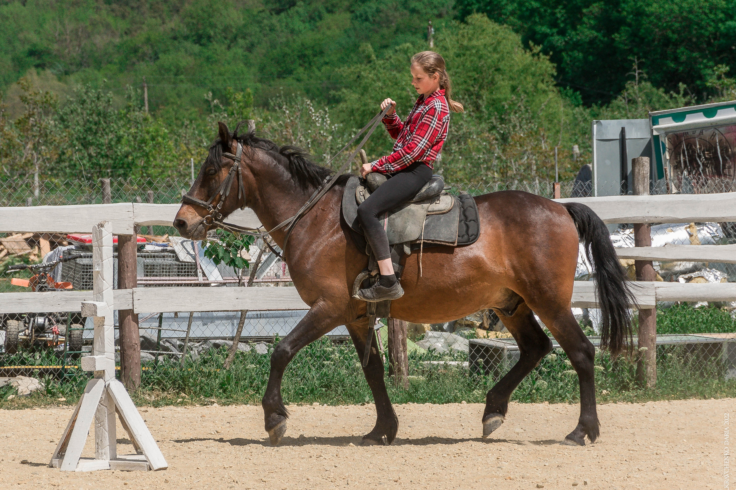 Соревнования в клубе «Реактив». Фотограф в Севастополе