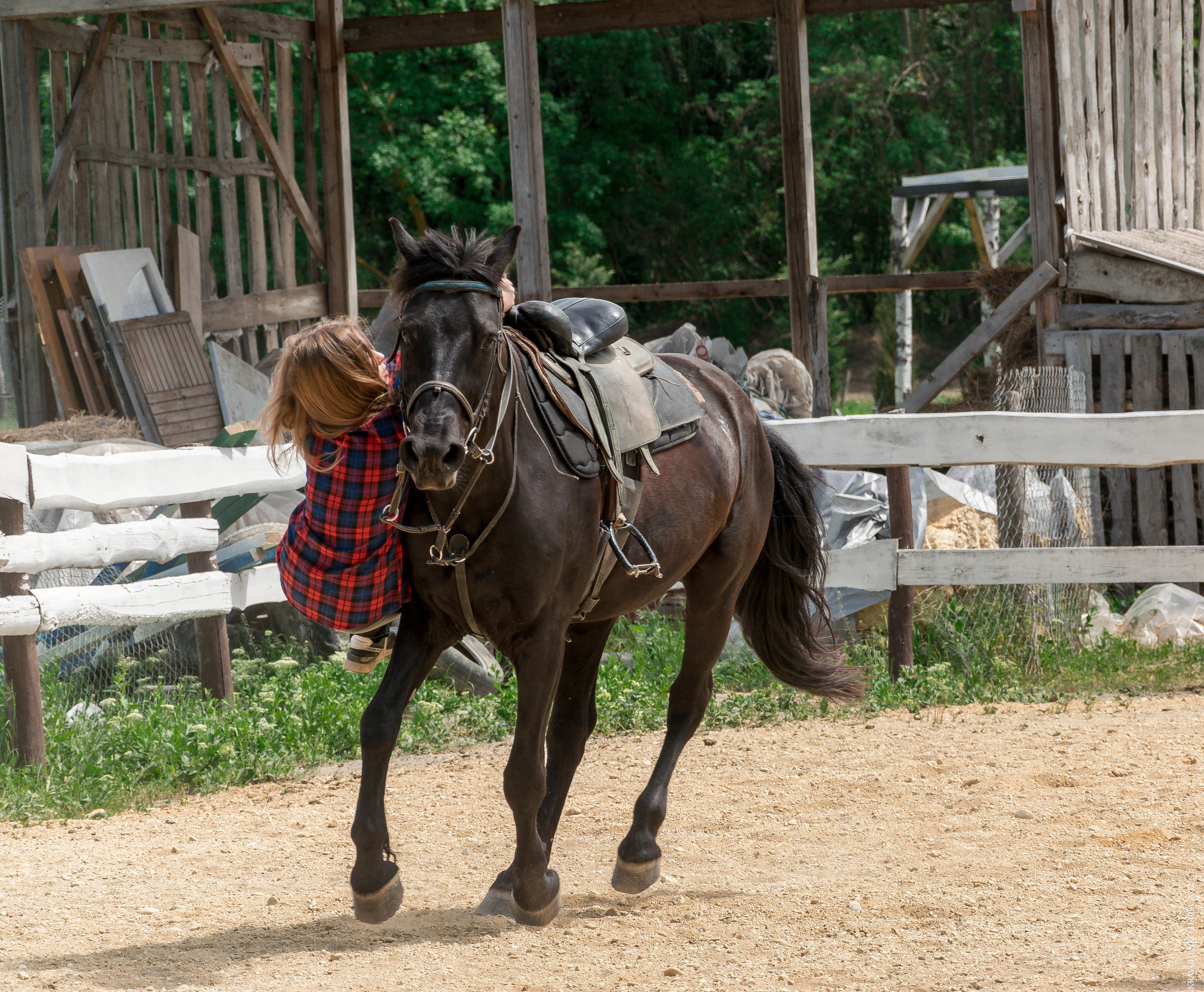 Соревнования в клубе «Реактив». Фотограф в Севастополе