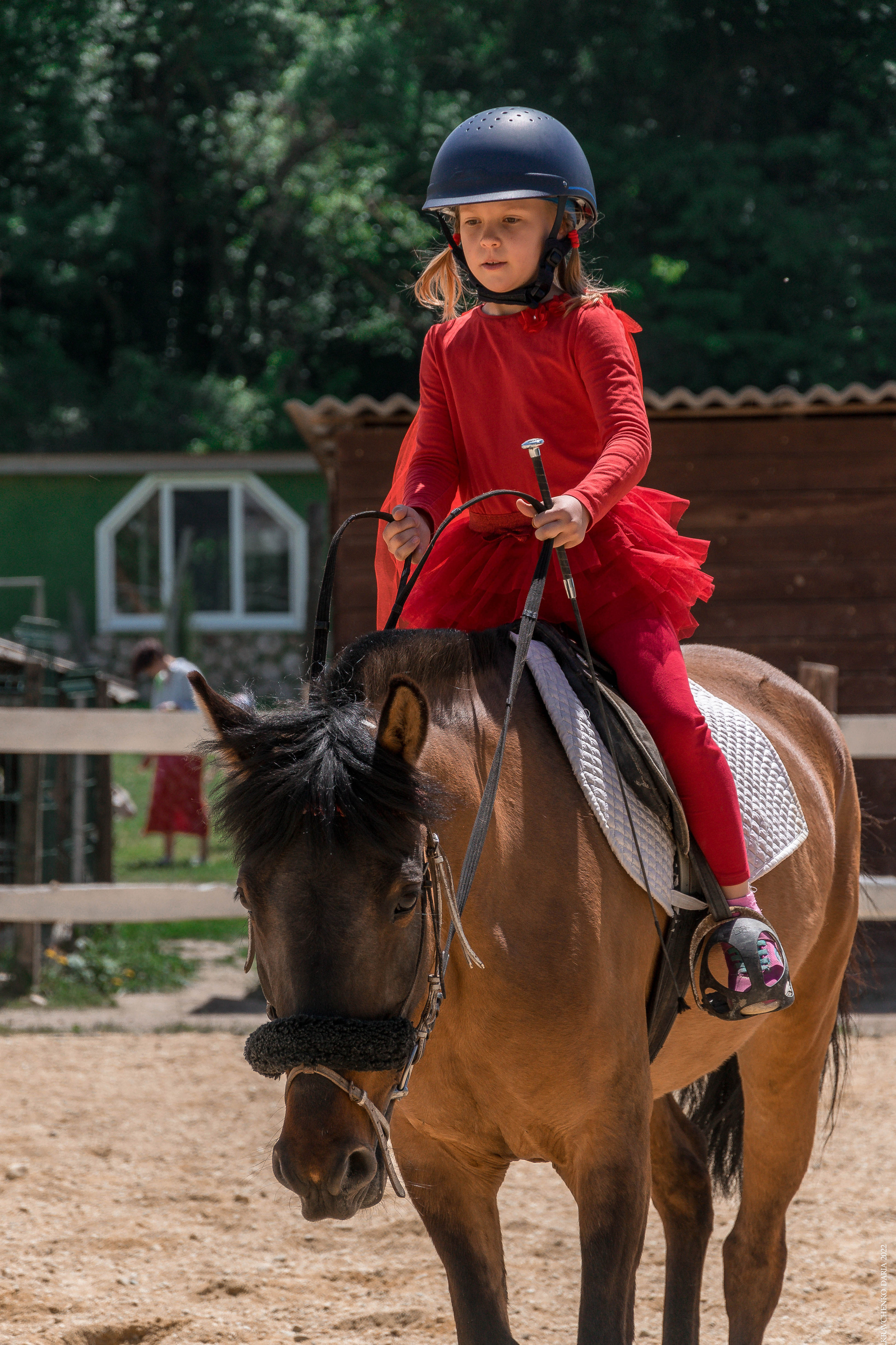 Соревнования в клубе «Реактив». Фотограф в Севастополе