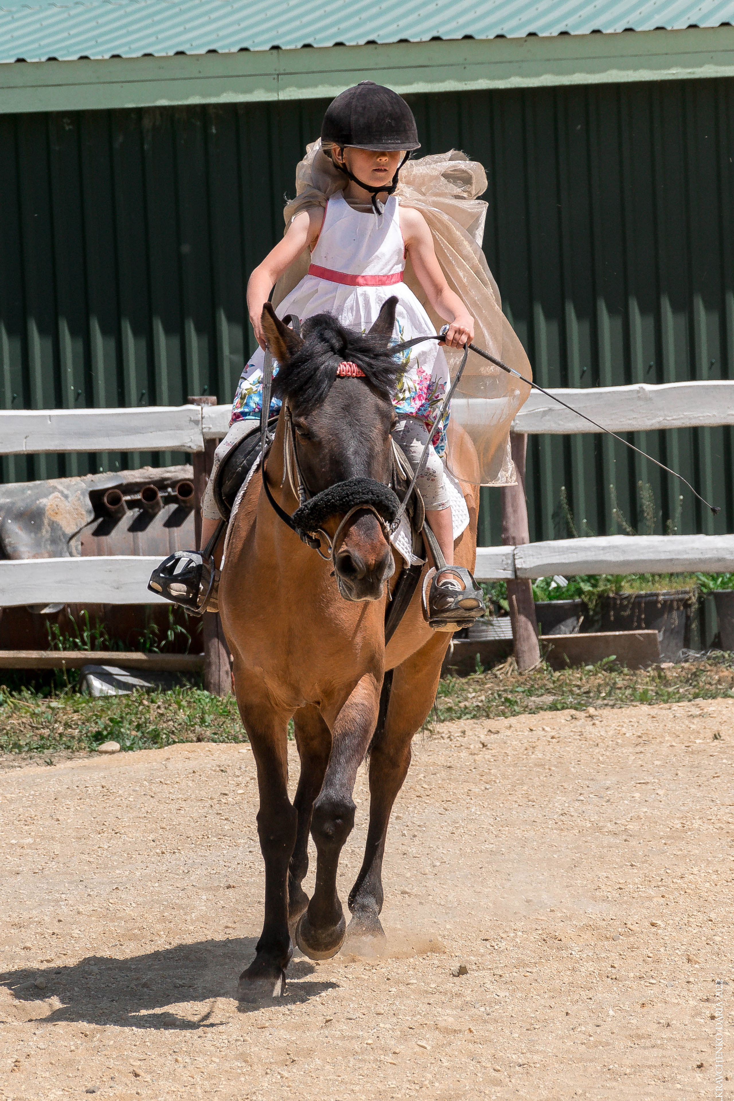 Соревнования в клубе «Реактив». Фотограф в Севастополе