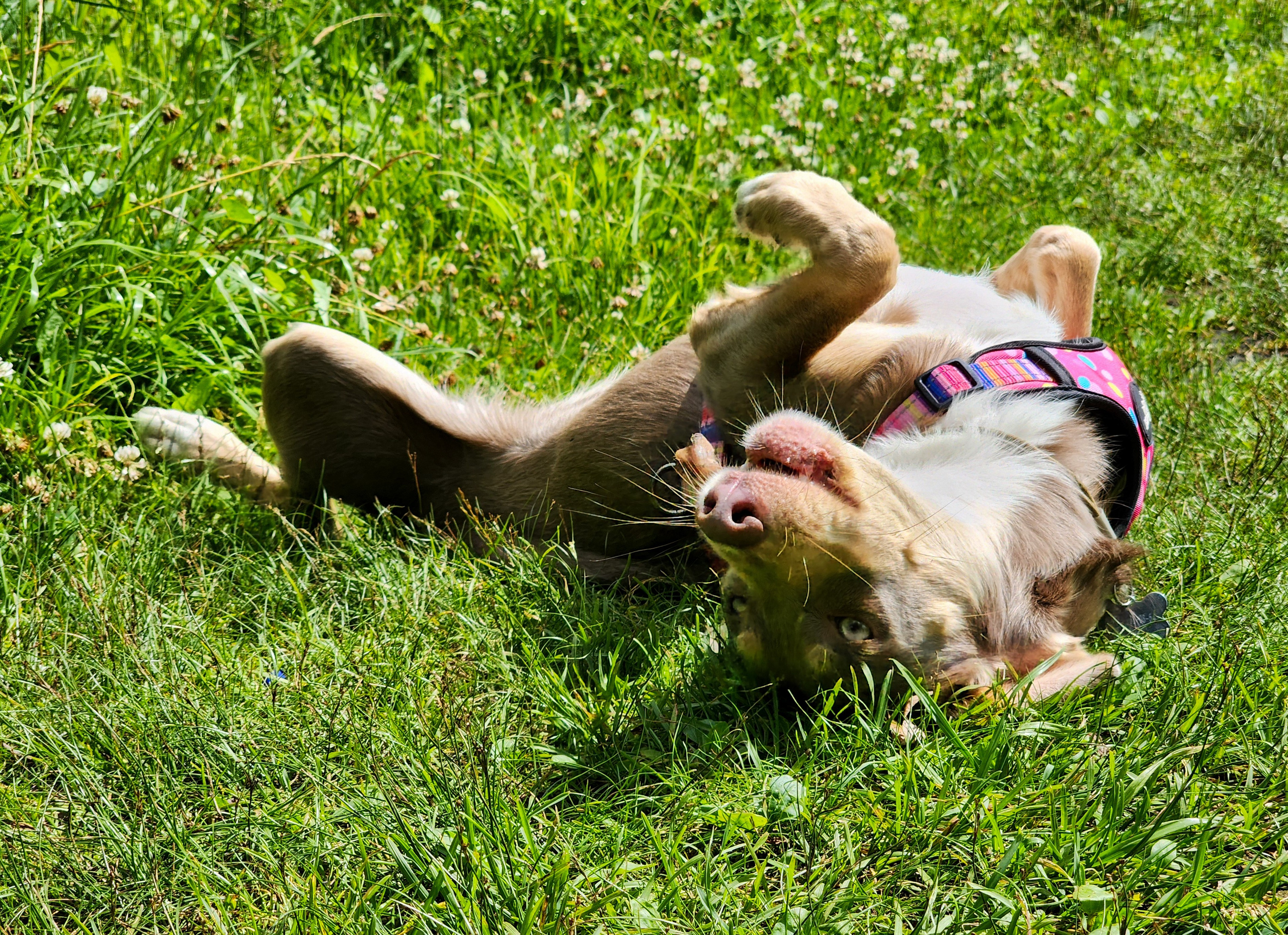 Репортажное фото фотопрогулка