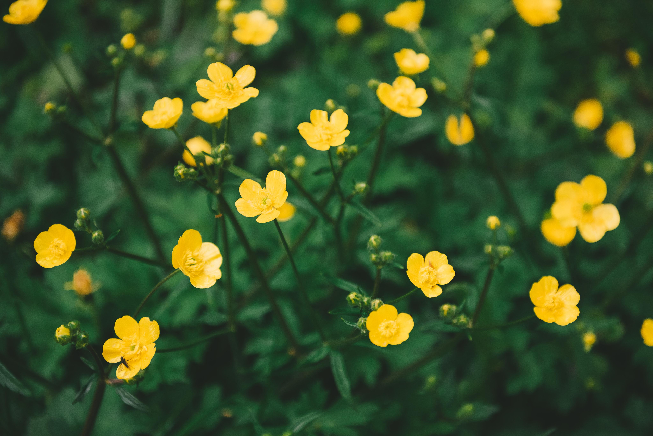 Семья Исламовых Адыгея. Психолог и лайфстайл фотограф Михина Татьяна