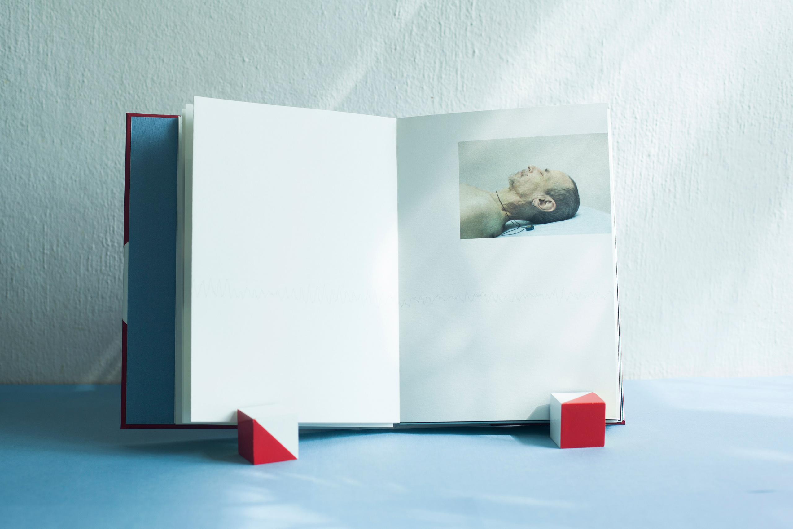 A book about the project. Aleksandra Mikhailova multimedia artist