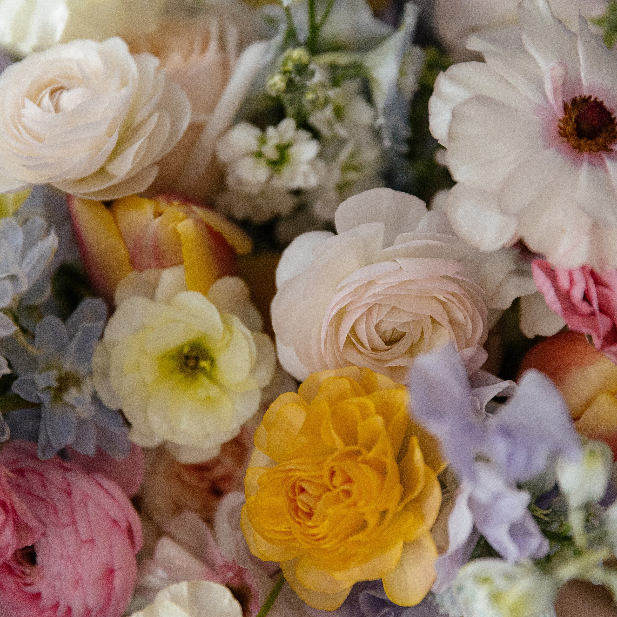 WEDDING S&S. Свадебный фотограф Дмитрий Краснов. Санкт-Петербург