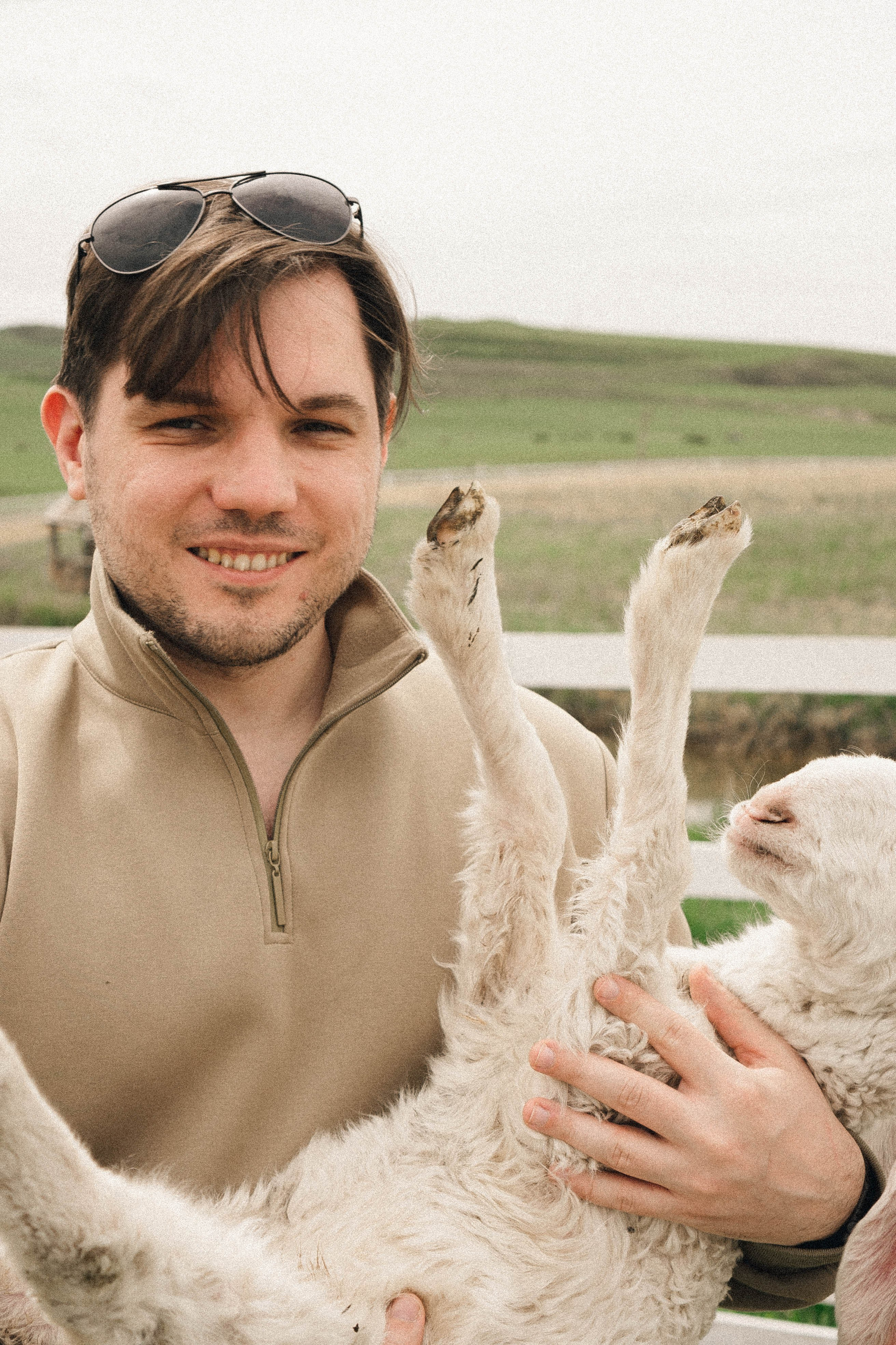 Ферма Альпак. Профессиональный фотограф, Санкт-Петербург — Виктория Богомолова