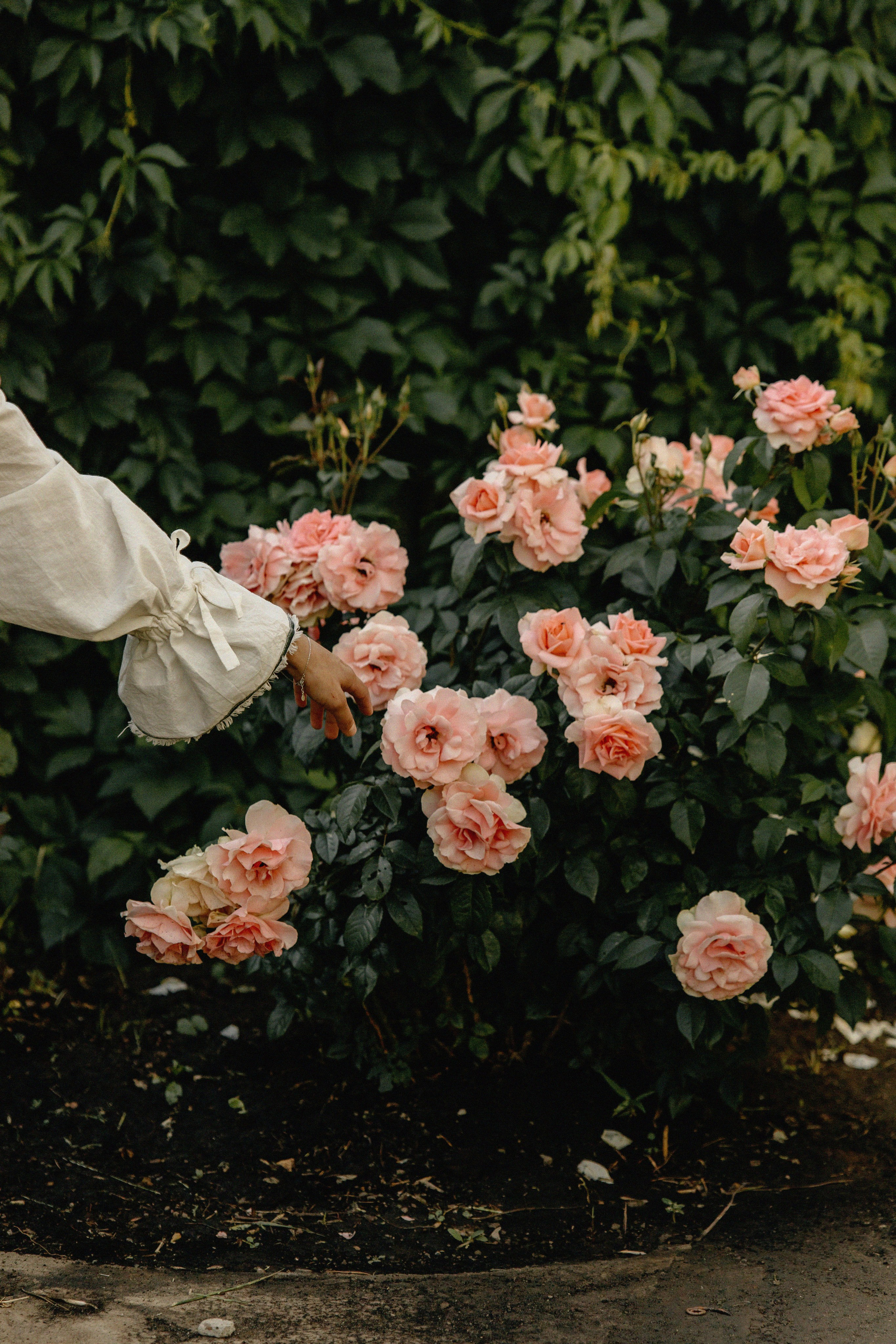 . Фотограф Арина Елизарова