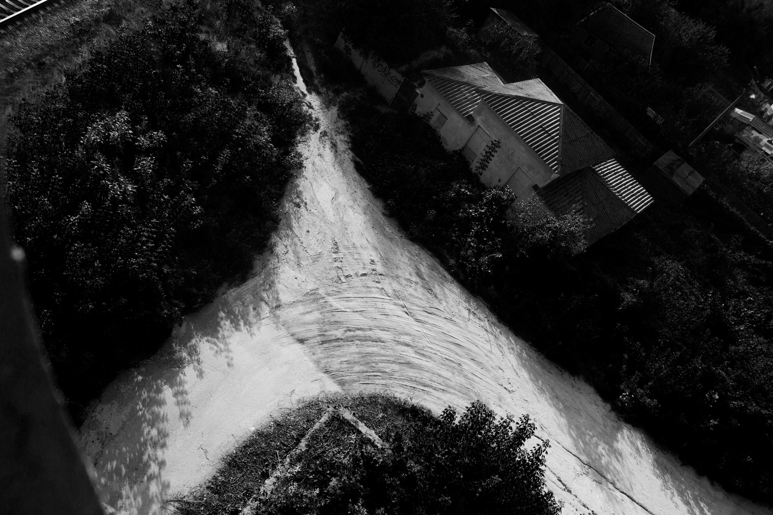 Цветы, колосья и все, что растет. Фотограф Старый Оскол Мавлыга Мария