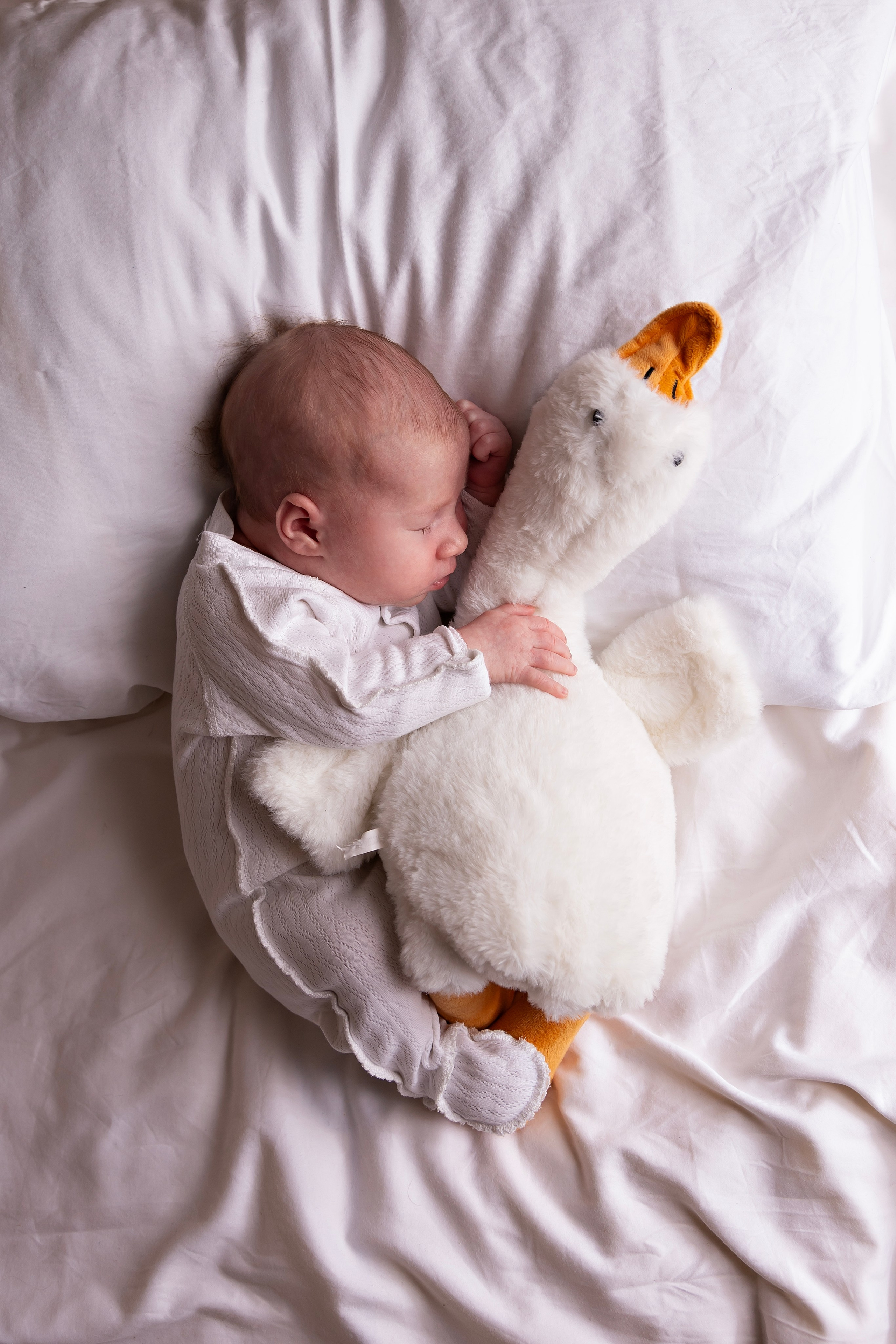 Фотосессия Ульяны. Фотограф новорожденных в Ижевске Анастасия Преснякова