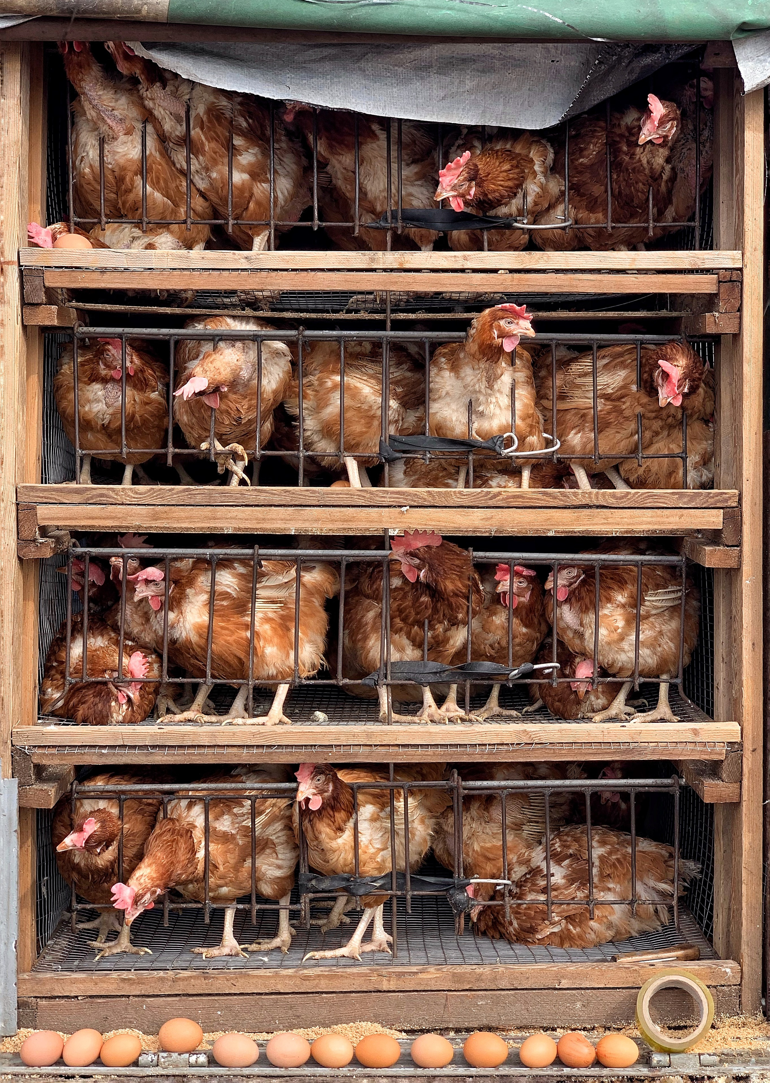 2019 год. Тащилин Сергей. Фотографии. Жизнь. Хобби