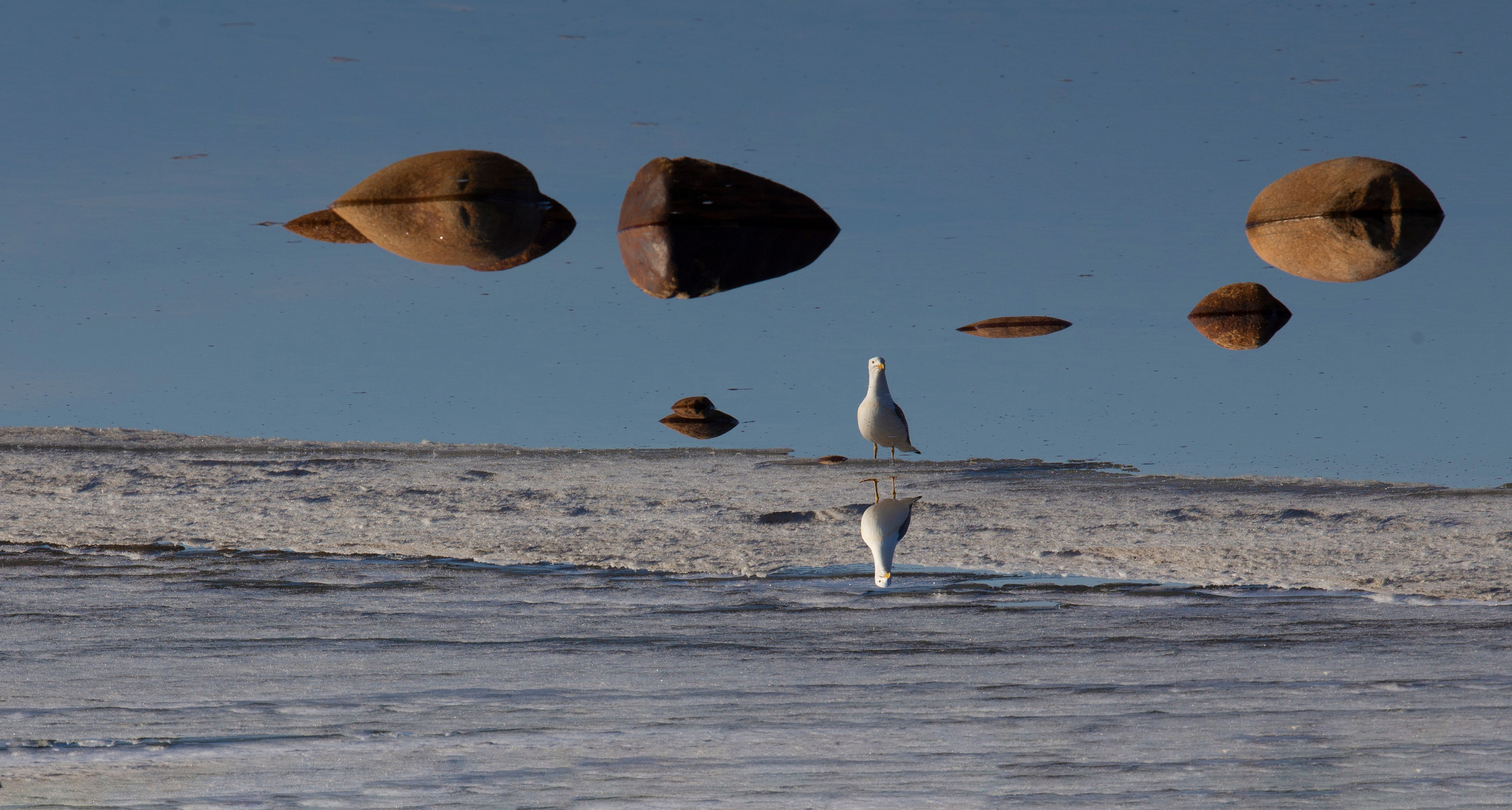 2018. Тащилин Сергей. Фотографии. Жизнь. Хобби