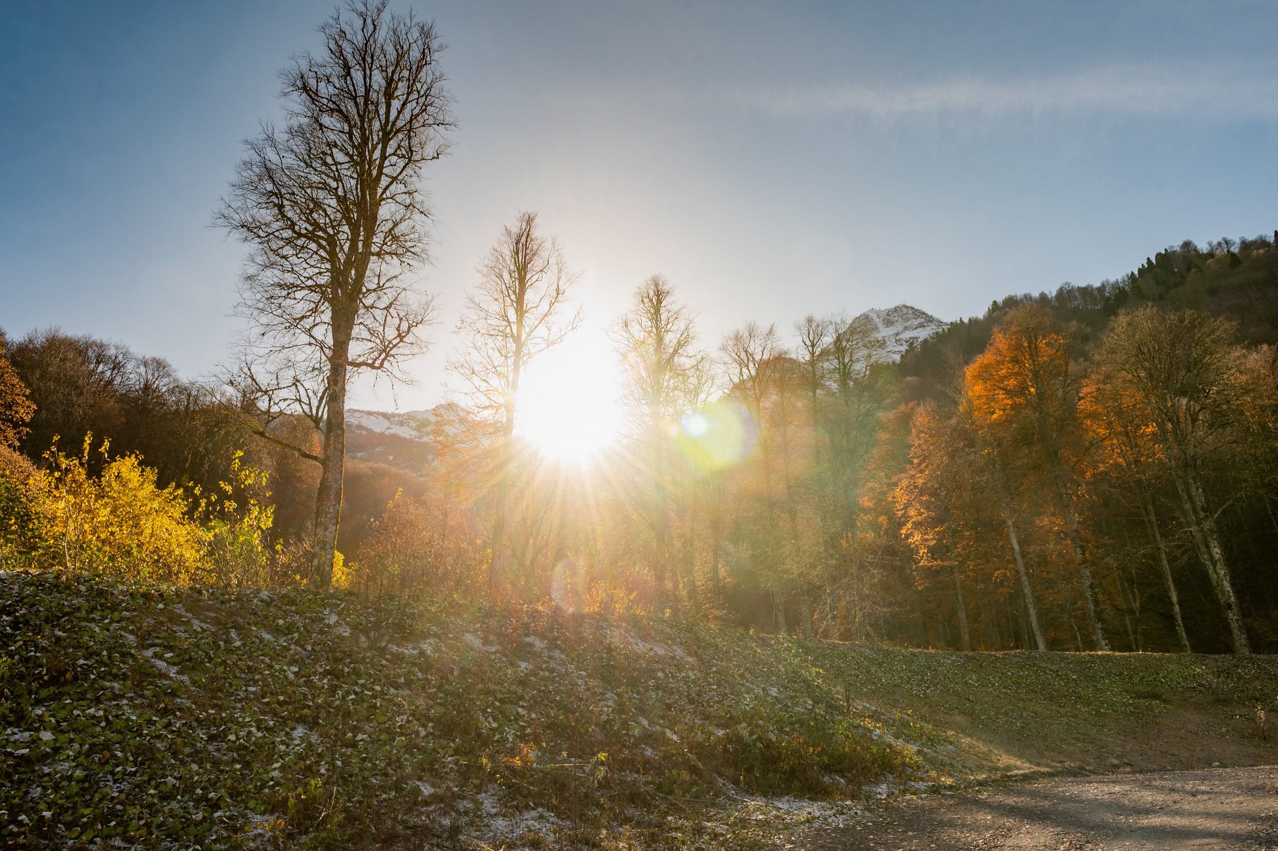 Mice мероприятие — прогулка на водопад Поликаря на курорте Красная Поляна. Репортажный фотограф в Красной Поляне и Сочи Павлюченко Екатерина