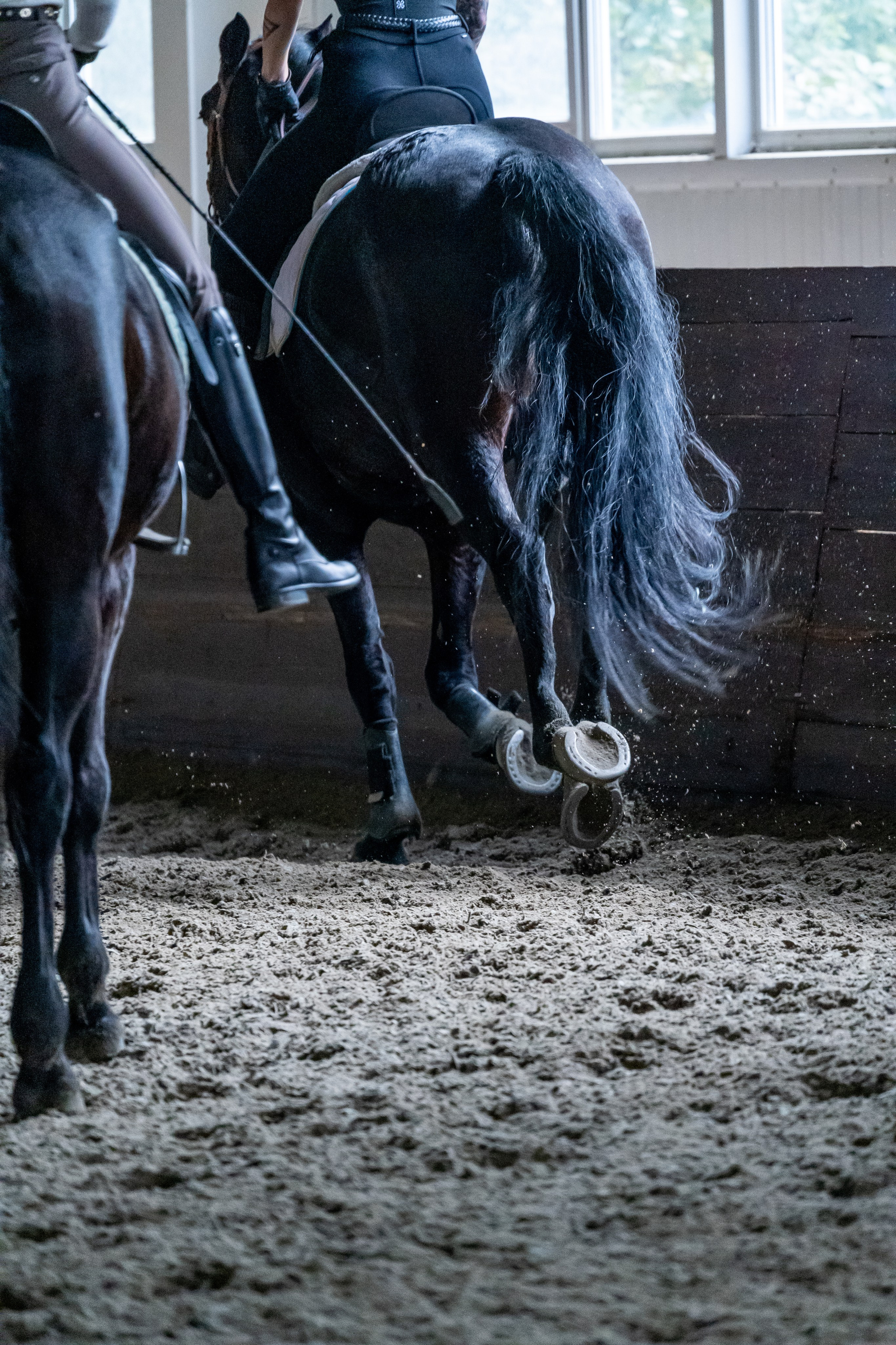 Верховая езда. Репортажный фотограф в Красной Поляне и Сочи Павлюченко Екатерина
