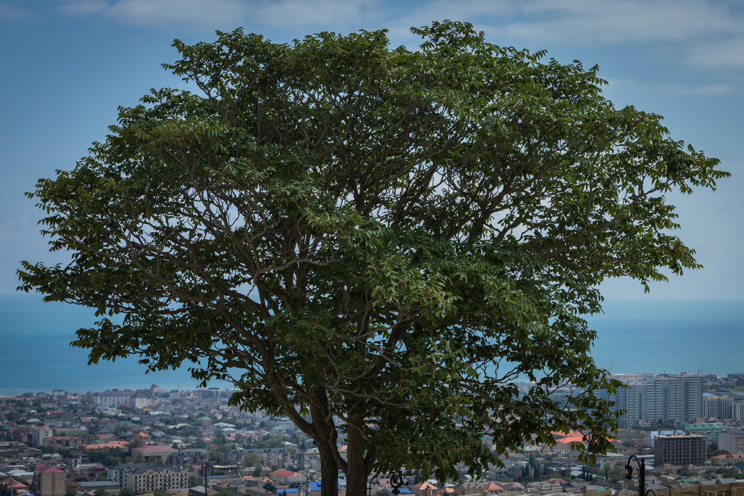Дербент. Фотограф Владимир Охрименко