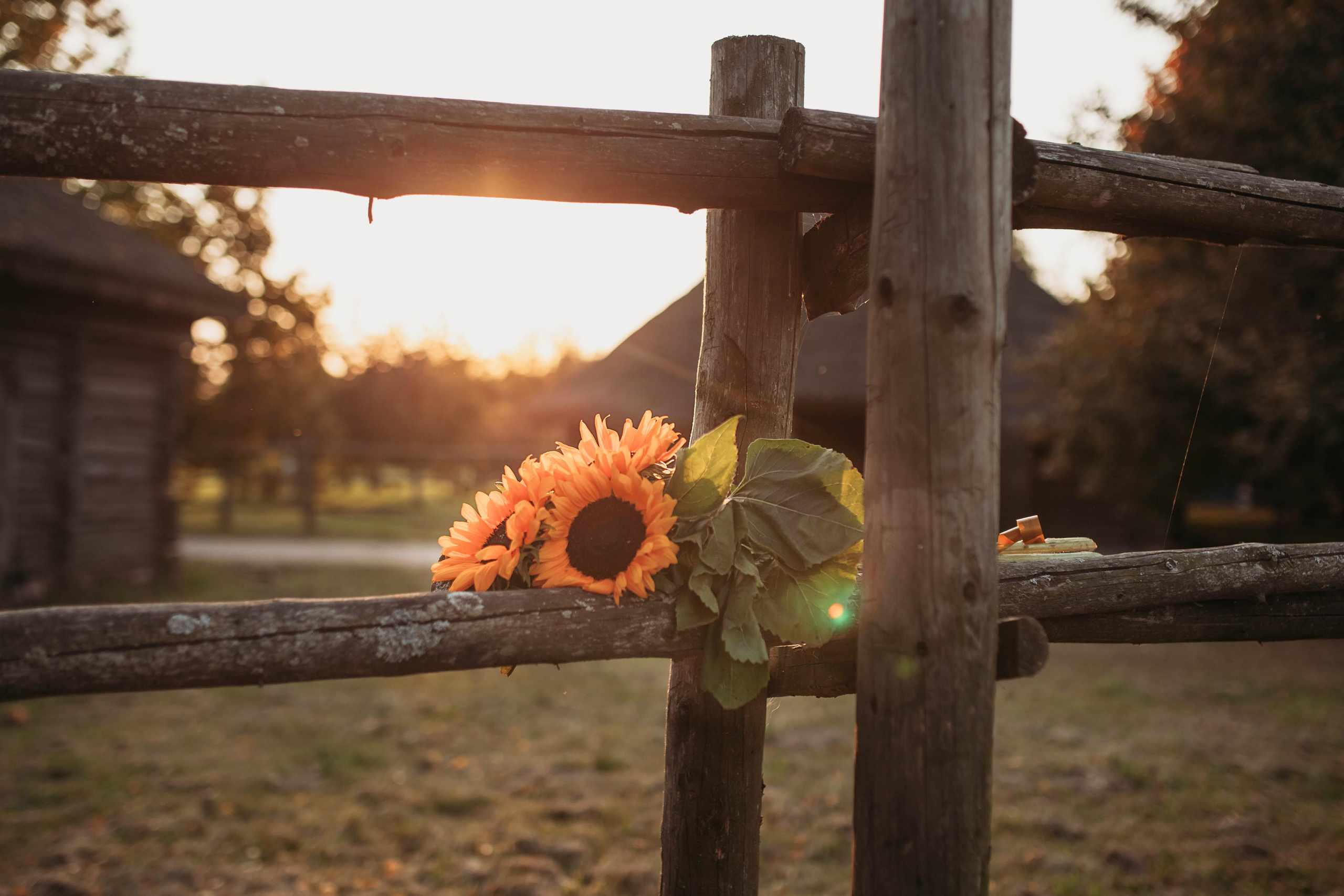 Прогулка по музею архитектуры и быта. Семейный и детский фотограф Минск, Беларусь