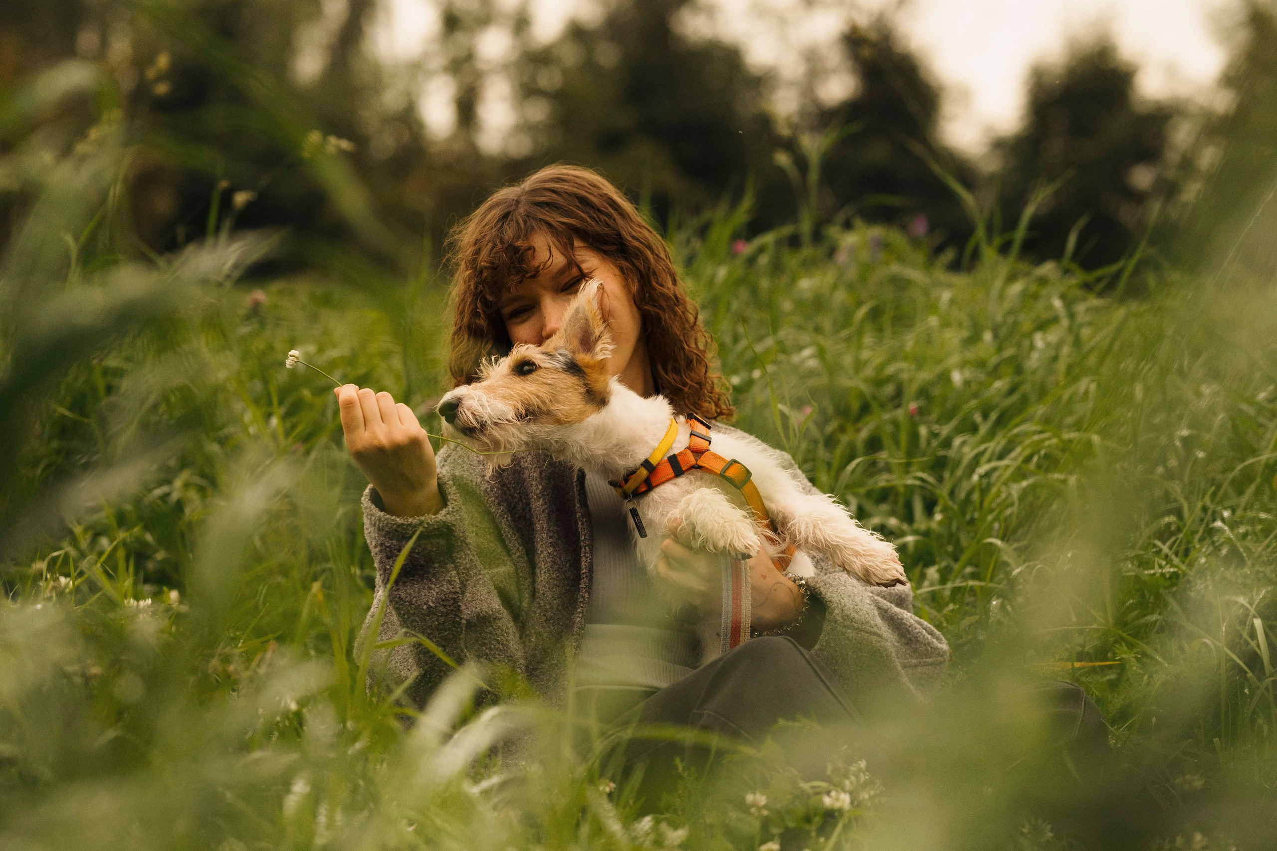 Мартин. Фотограф- анималист Александра Матвеева